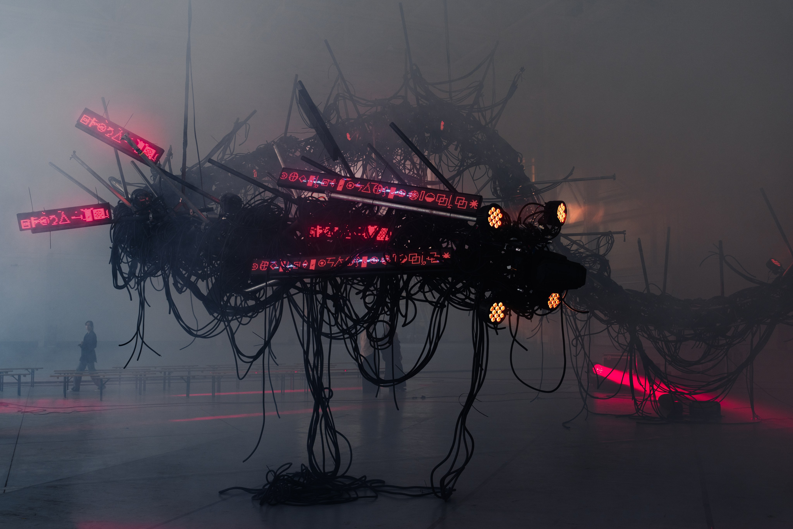 PANTERRA, CHRONOMORPH 001. @tomrus: Рустам Шагиморданов — фотограф