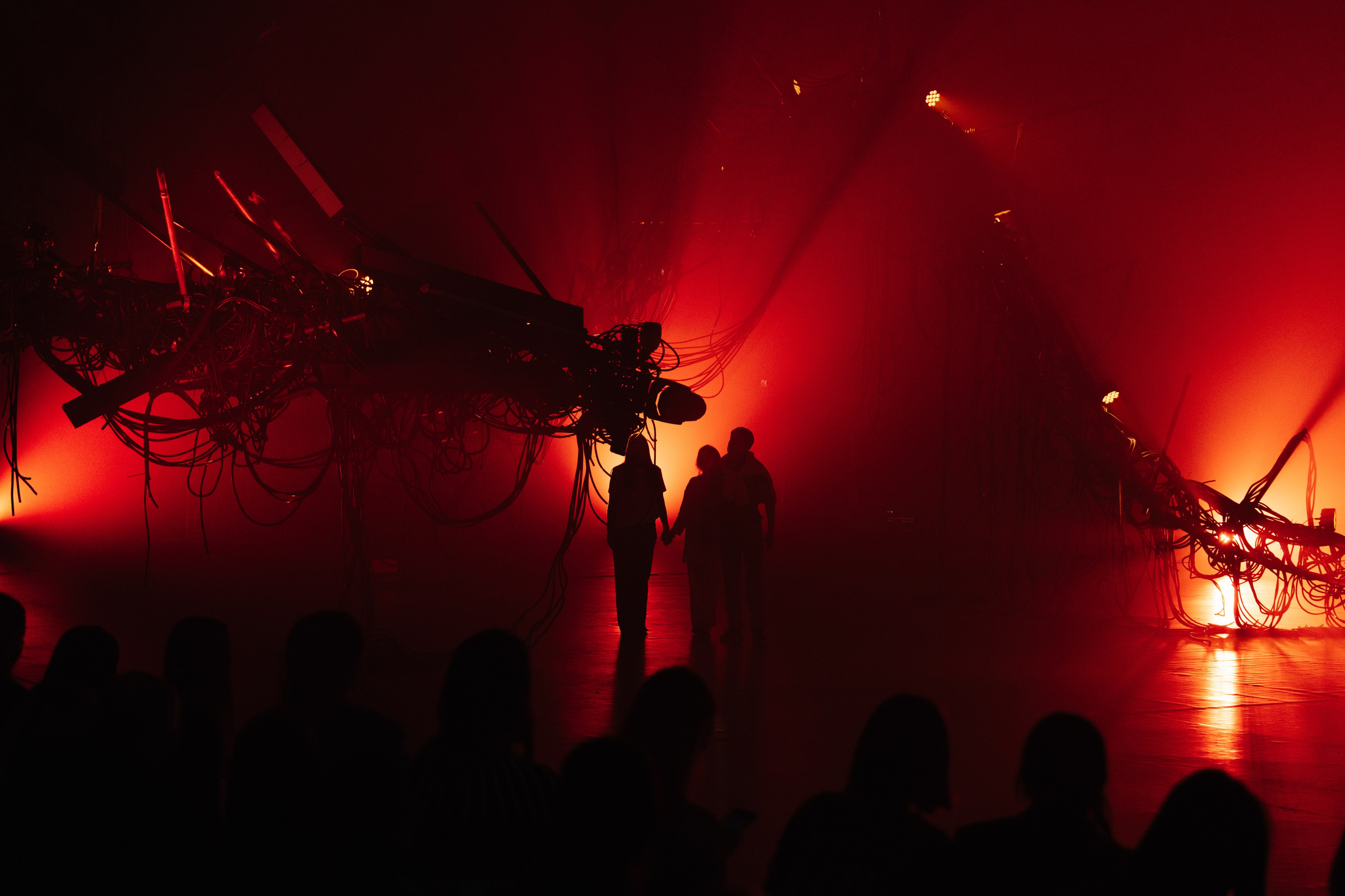 PERFORMA, The Hour of the Horse. @tomrus: Рустам Шагиморданов — фотограф