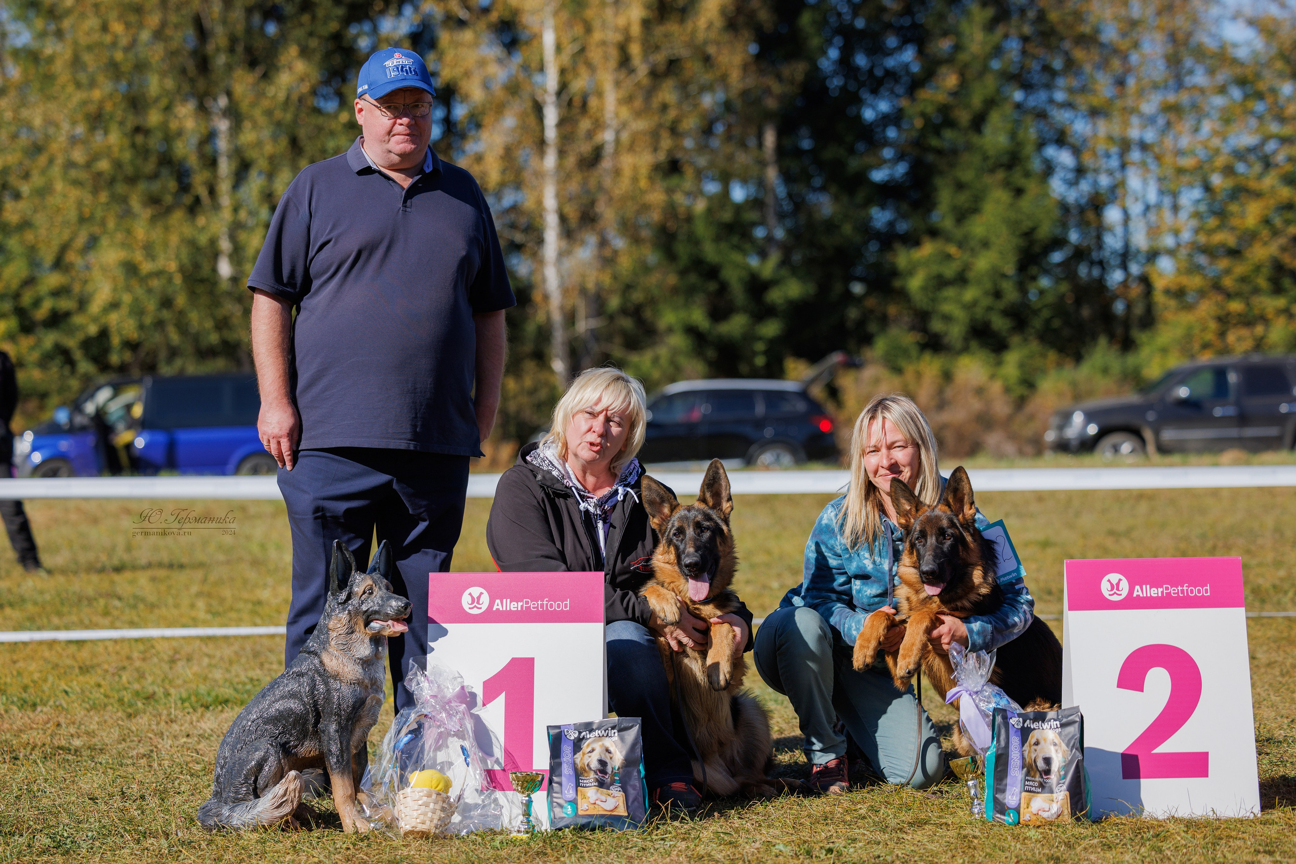 Тверь немецкие овчарки 22.09.2024. Фотограф-анималист Юлия Германика