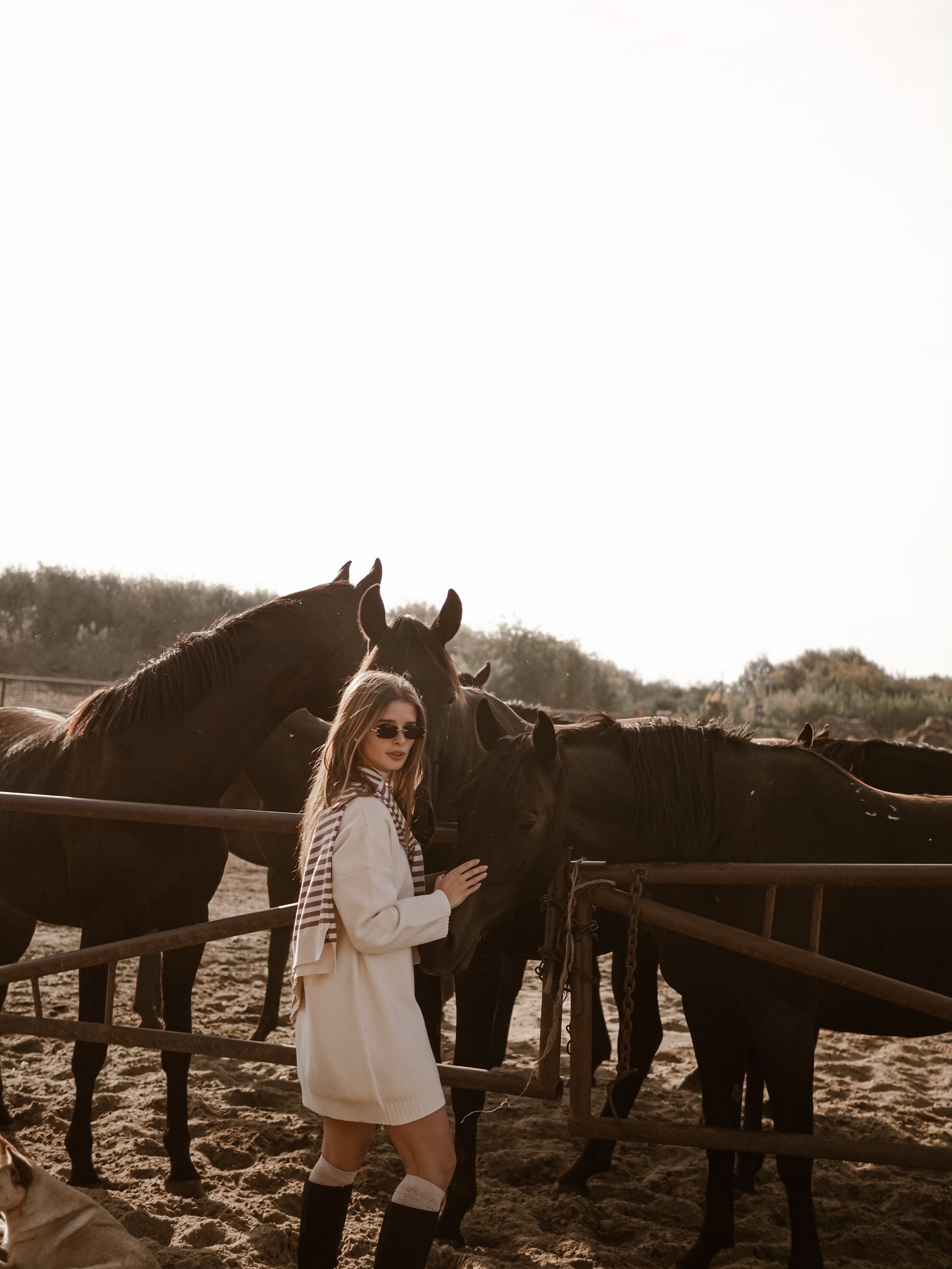 Фотопроект с лошадьми. Фотограф Рязань. Семейный Свадебный фотограф