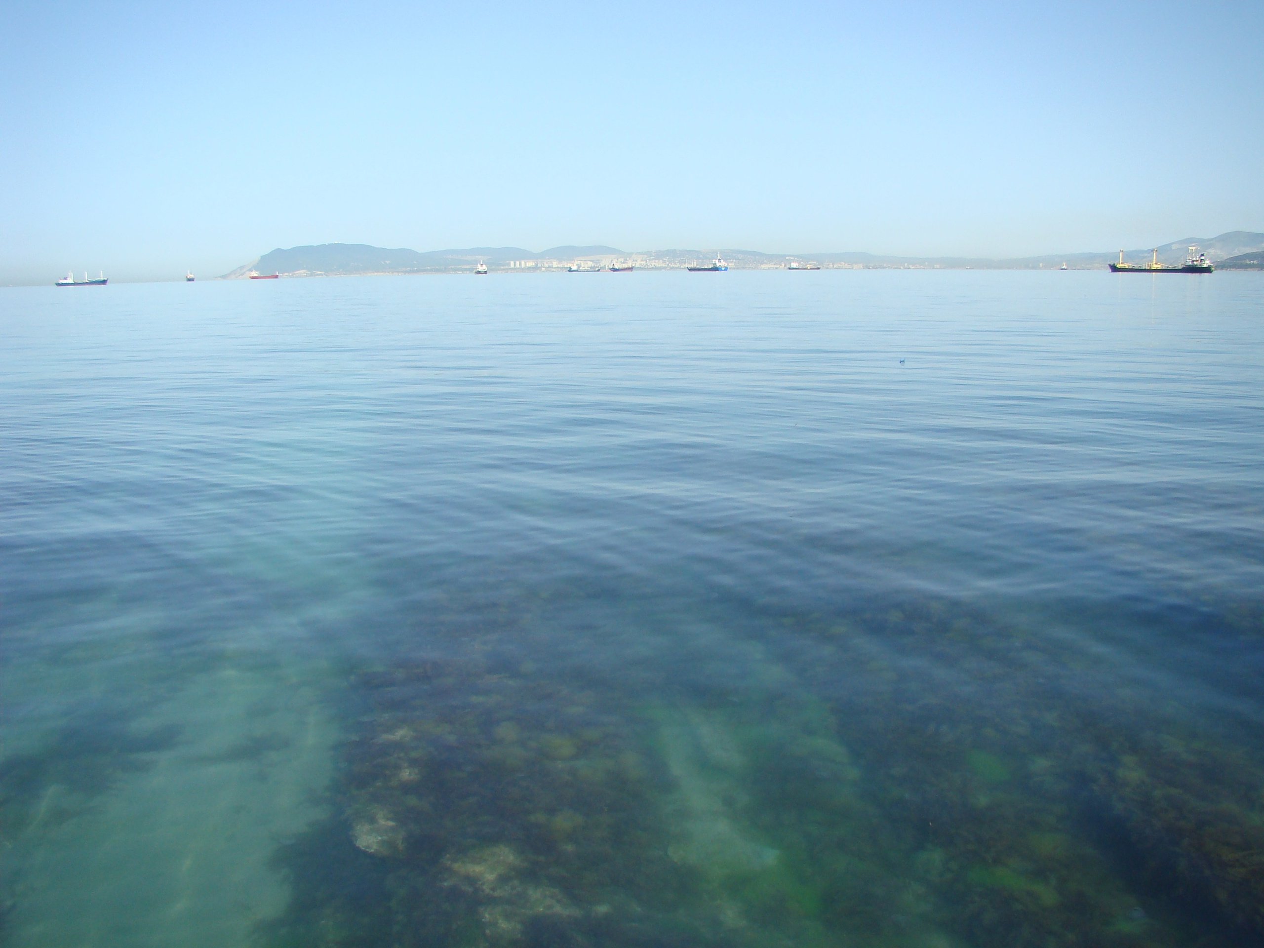 Кабардинка (фото Зевиных) 25.06-24.07.2008. Семейный, Свадебный фотограф СПБ Питер— Романова Екатерина