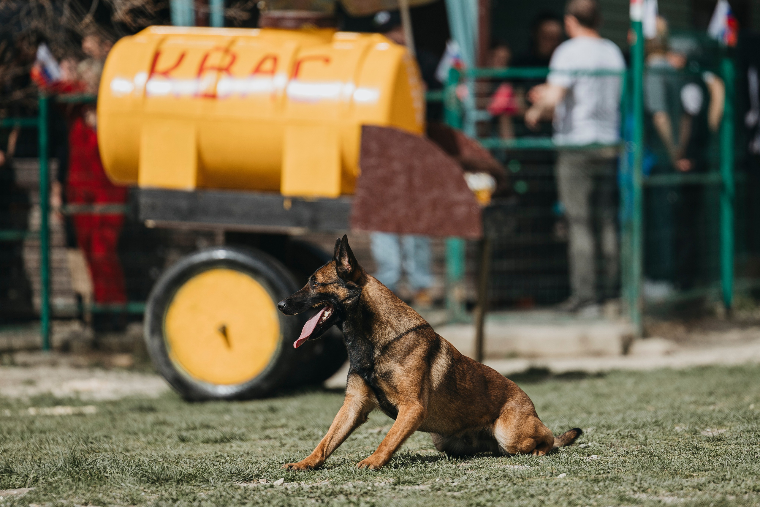 Геленджик Мондьоринг. Фотограф-анималист Анна Маринич