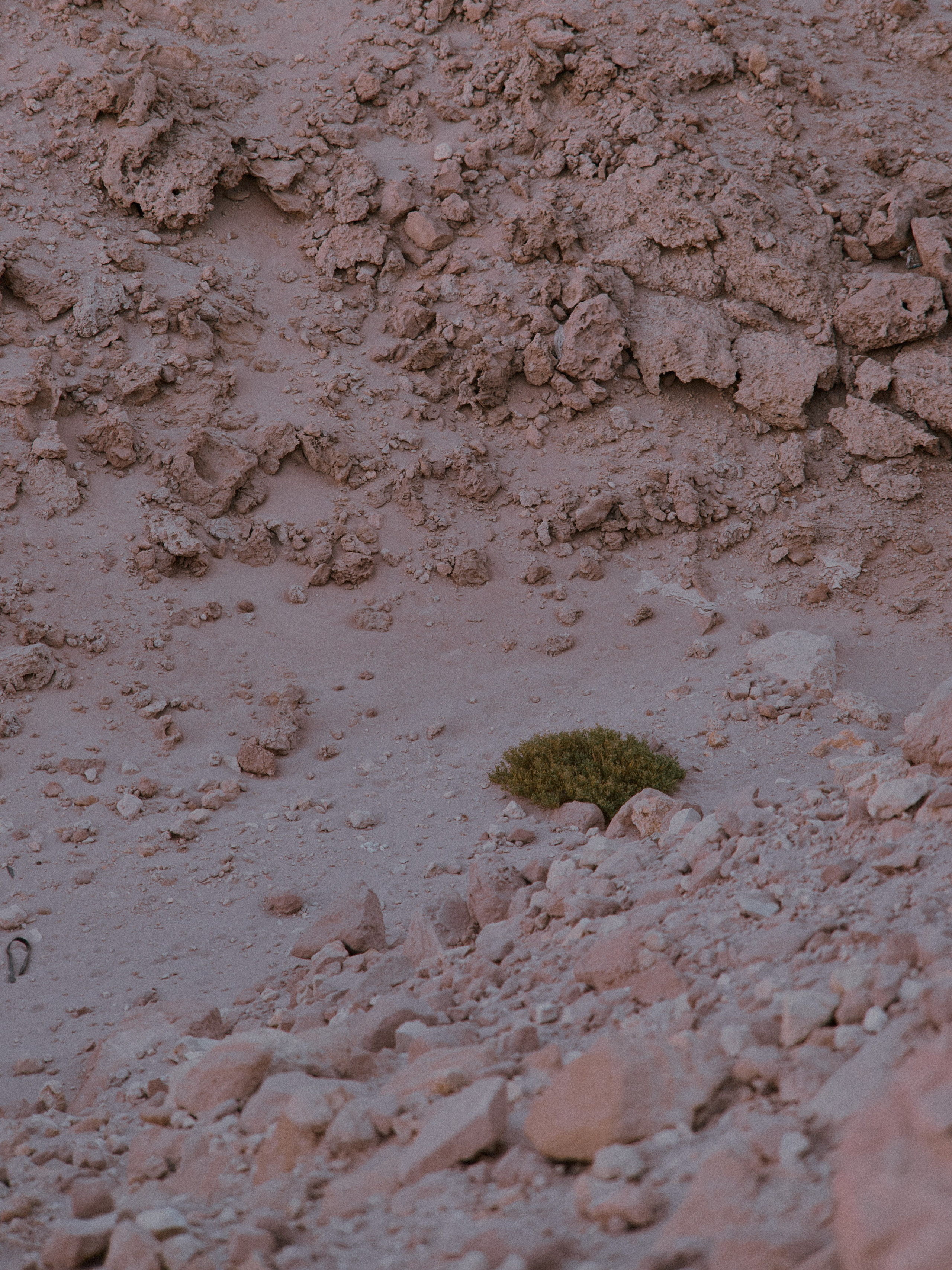 Природа. Jorgis Talè — photographer, kind person, teacher of arts and other mag