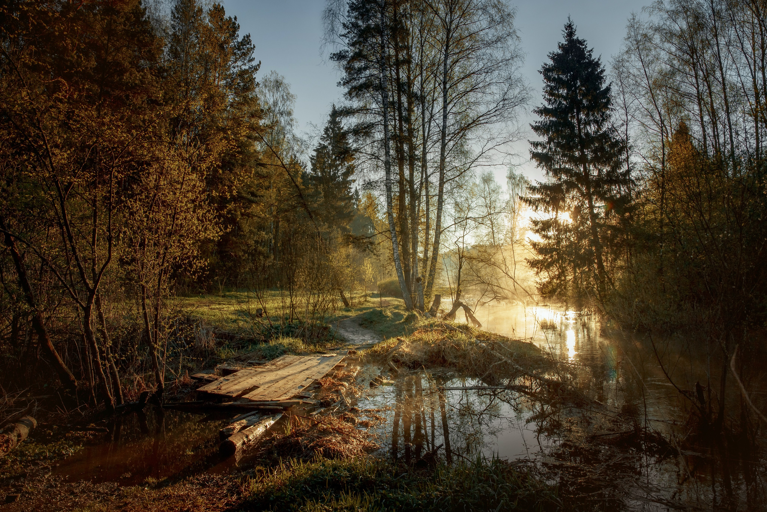 Архитектура. Пейзаж. Детская Конная фотография в Москве Юлия Шепелева