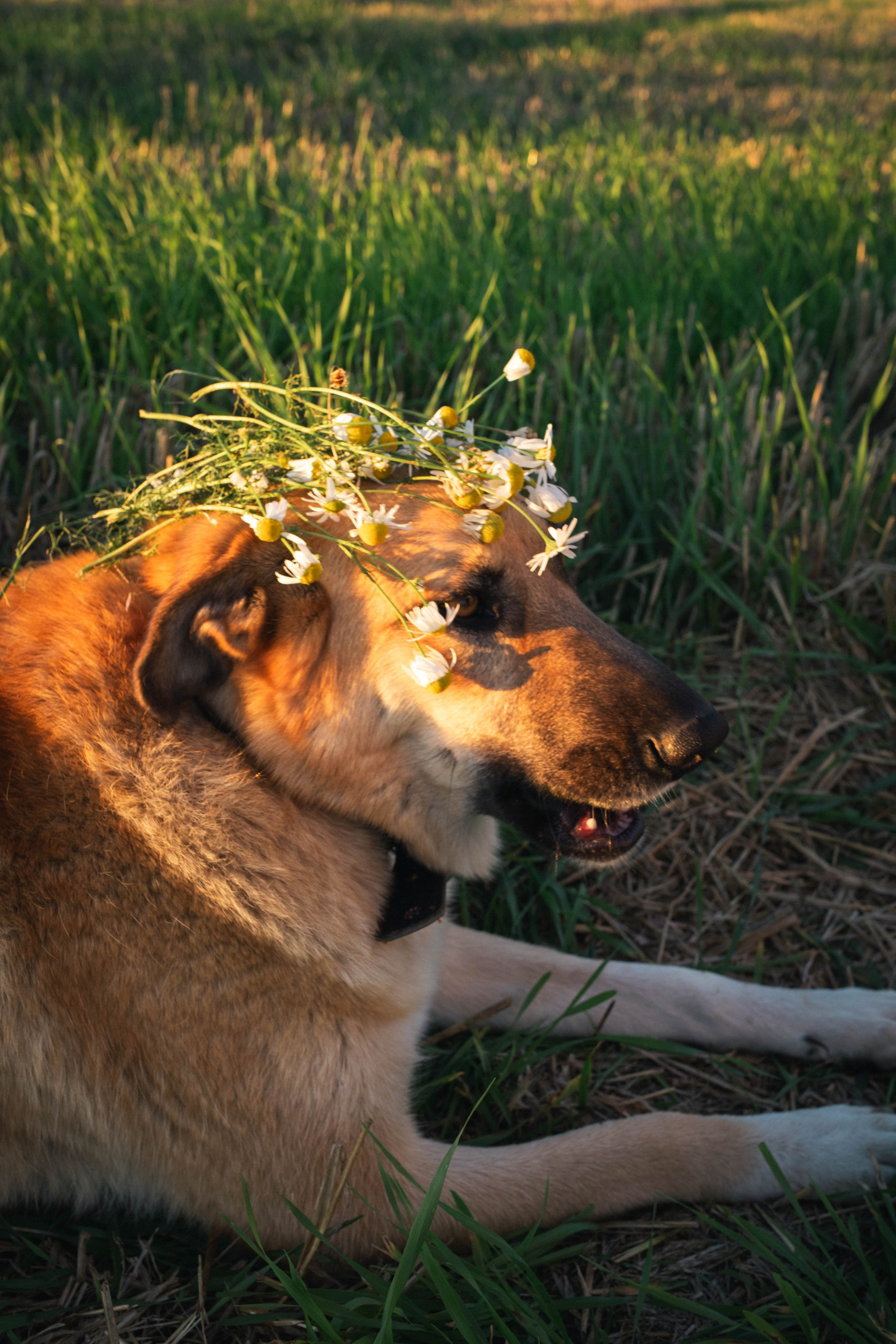 Альбом2. Фотограф Мария Сургаева | Профессиональная фотосъемка в Москве