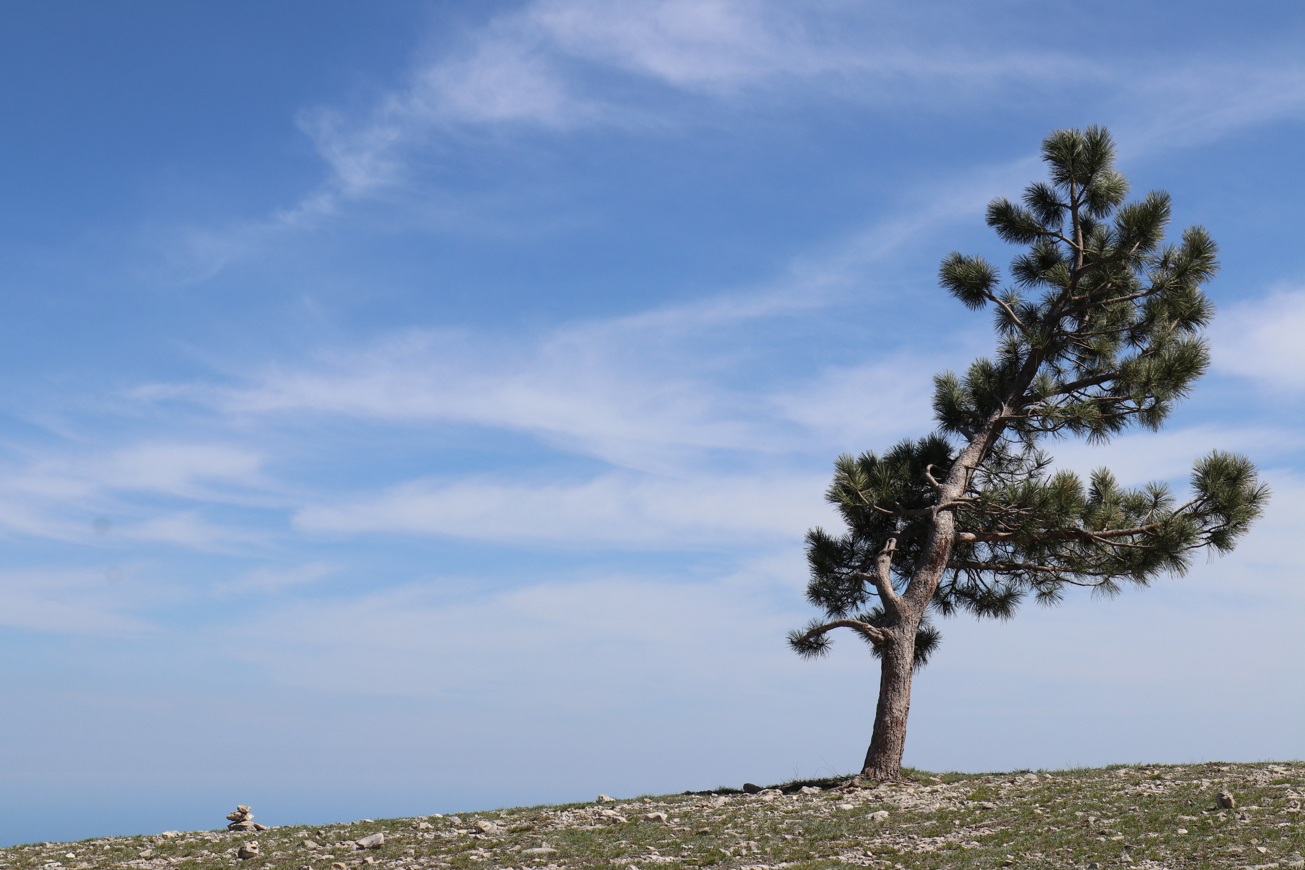 Крым. ЮБК (Бахчисарай, Кастрополь, Таракташская тропа). Май 2021. Путешественник-фотограф из Санкт-Петербурга Татьяна Свистулина