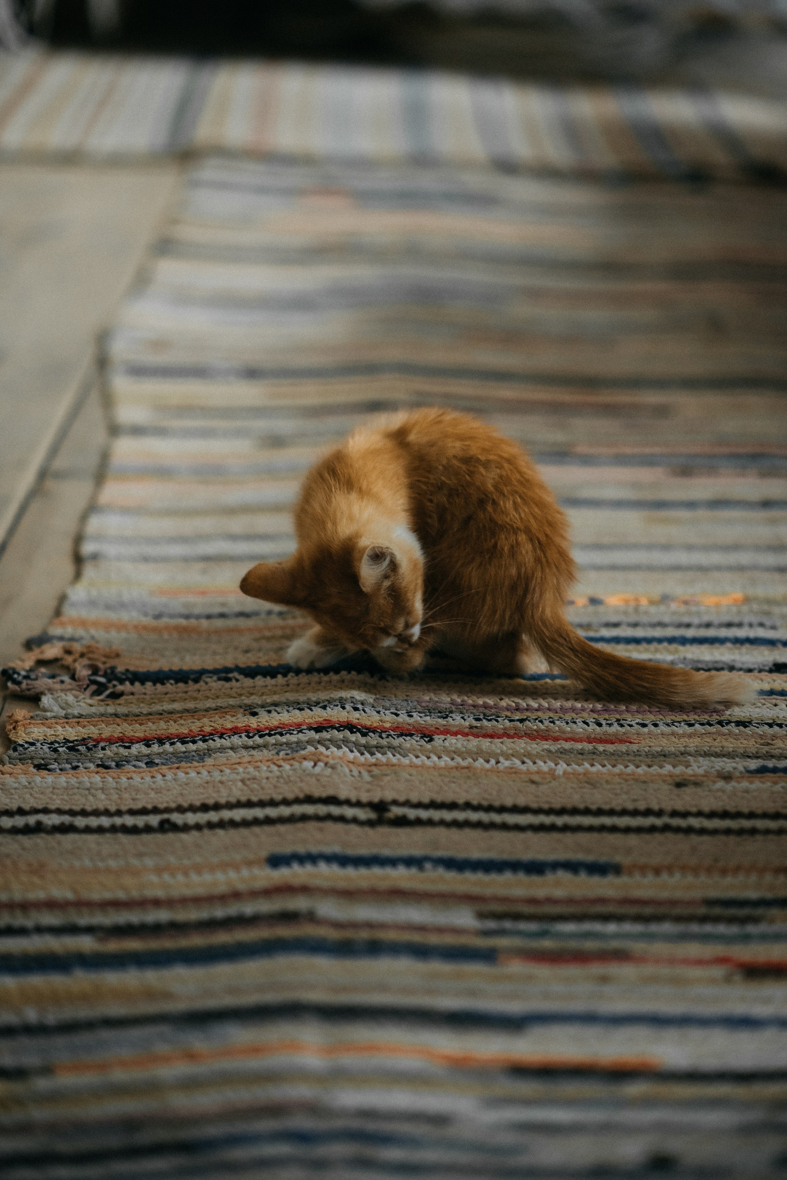 Дом, милый дом. Главная