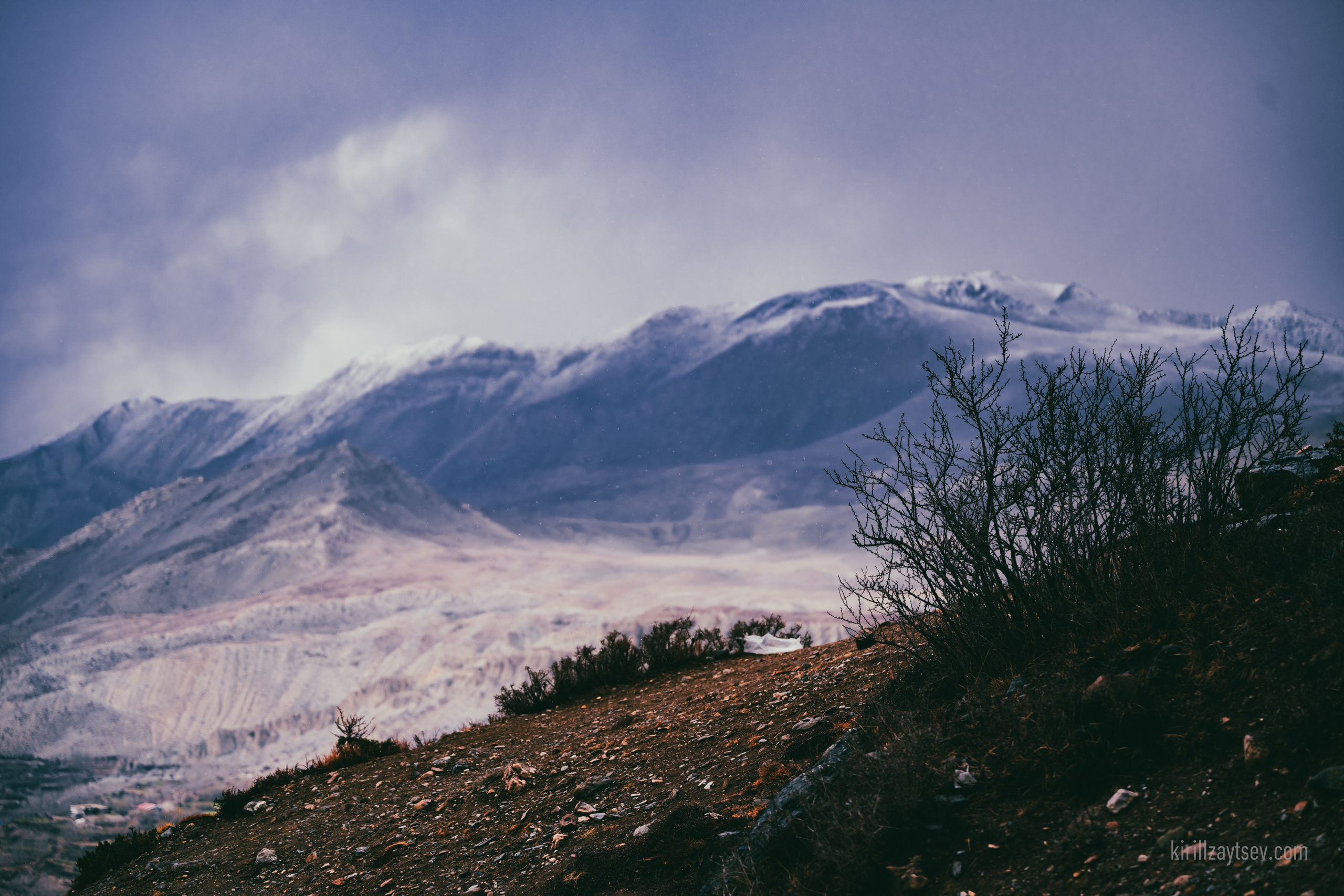 Жизнь. Профессиональный фотограф Кирилл Зайцев
