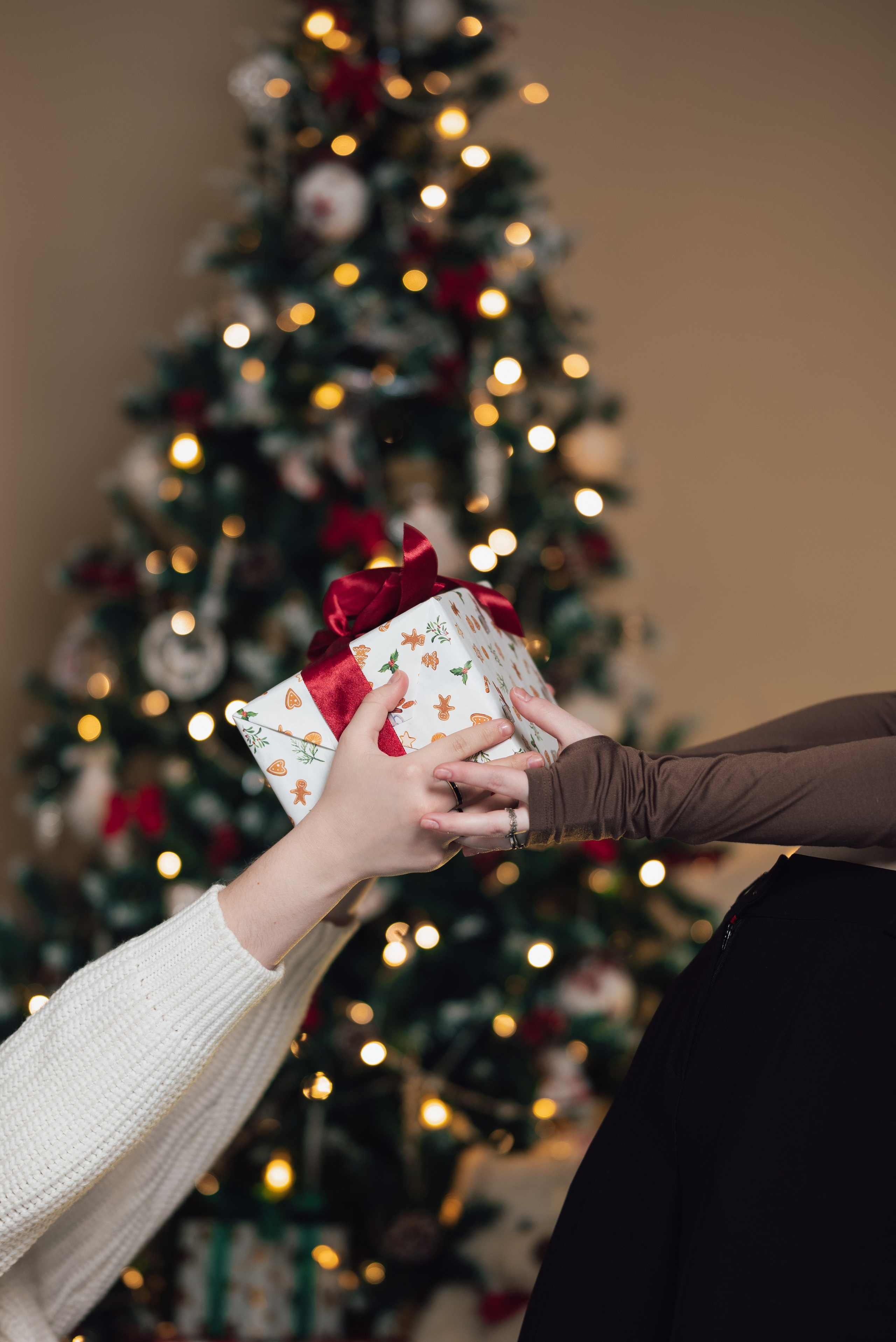 Новогодний 2022-2023. Фотограф Екатерина Шишкина. Питкяранта. Карелия