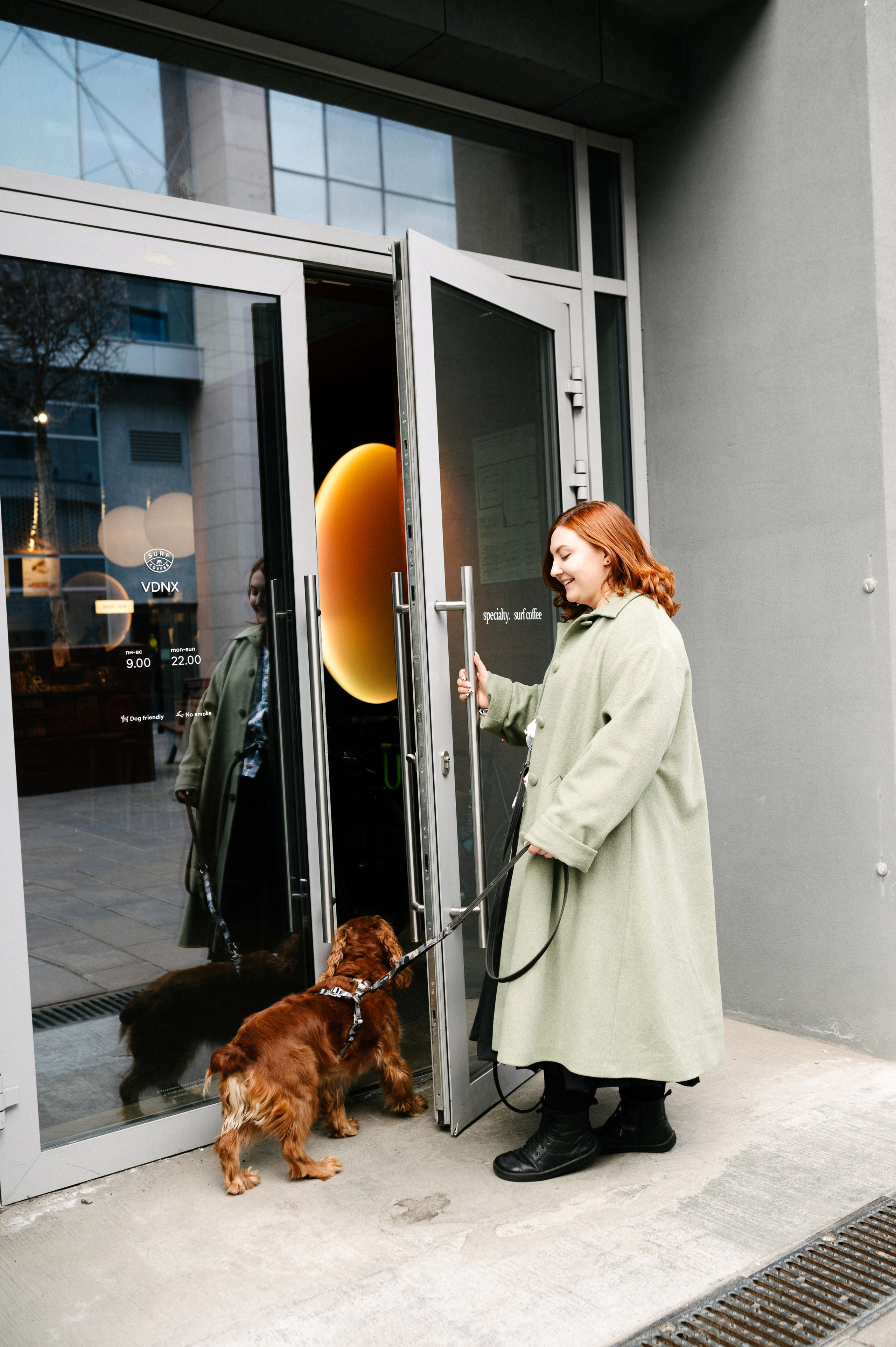 Рыжая команда. Фотограф анималист в Москве Ольга Агушева