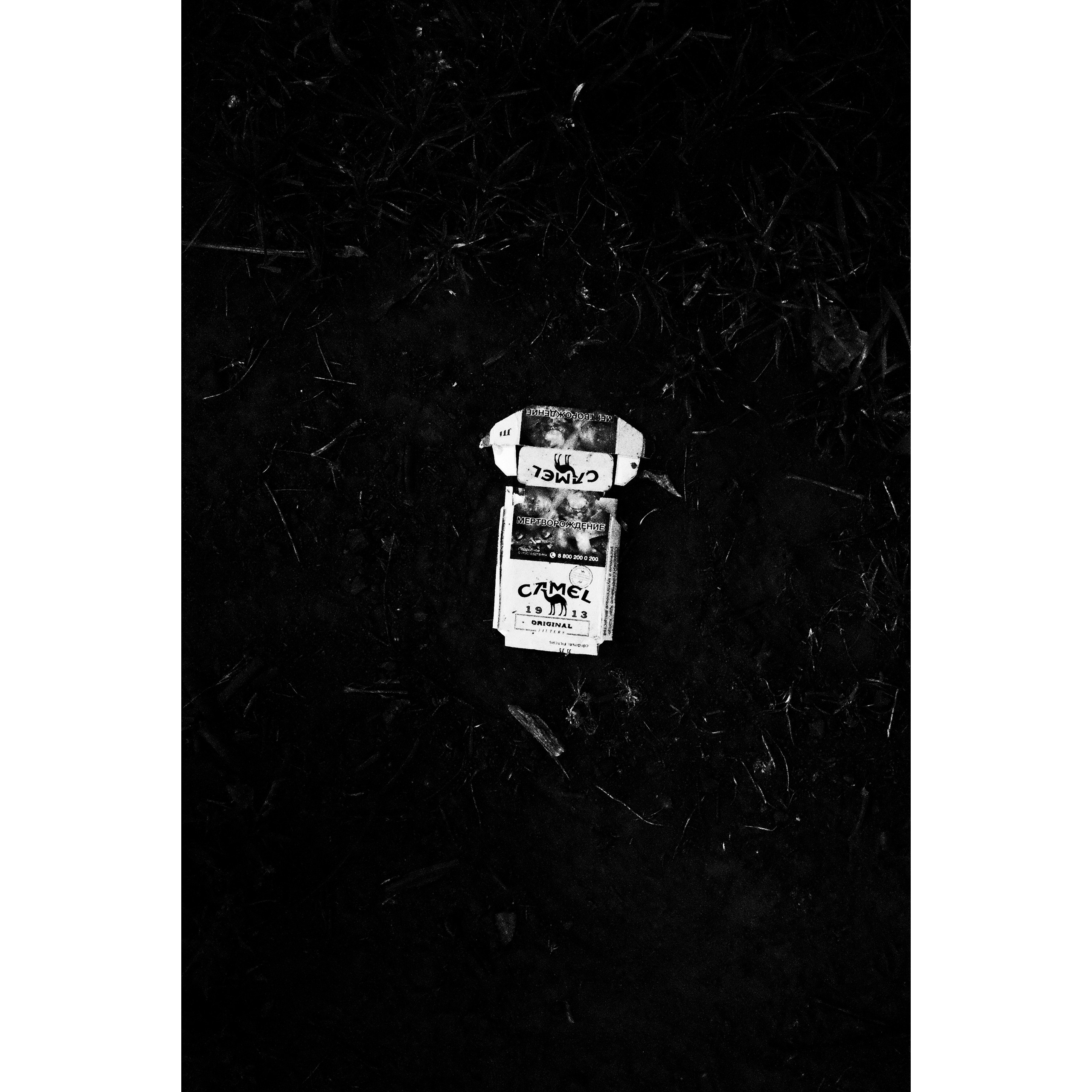 Дощечки. Полиптихи разных лет. Артём Линейцев, фотограф