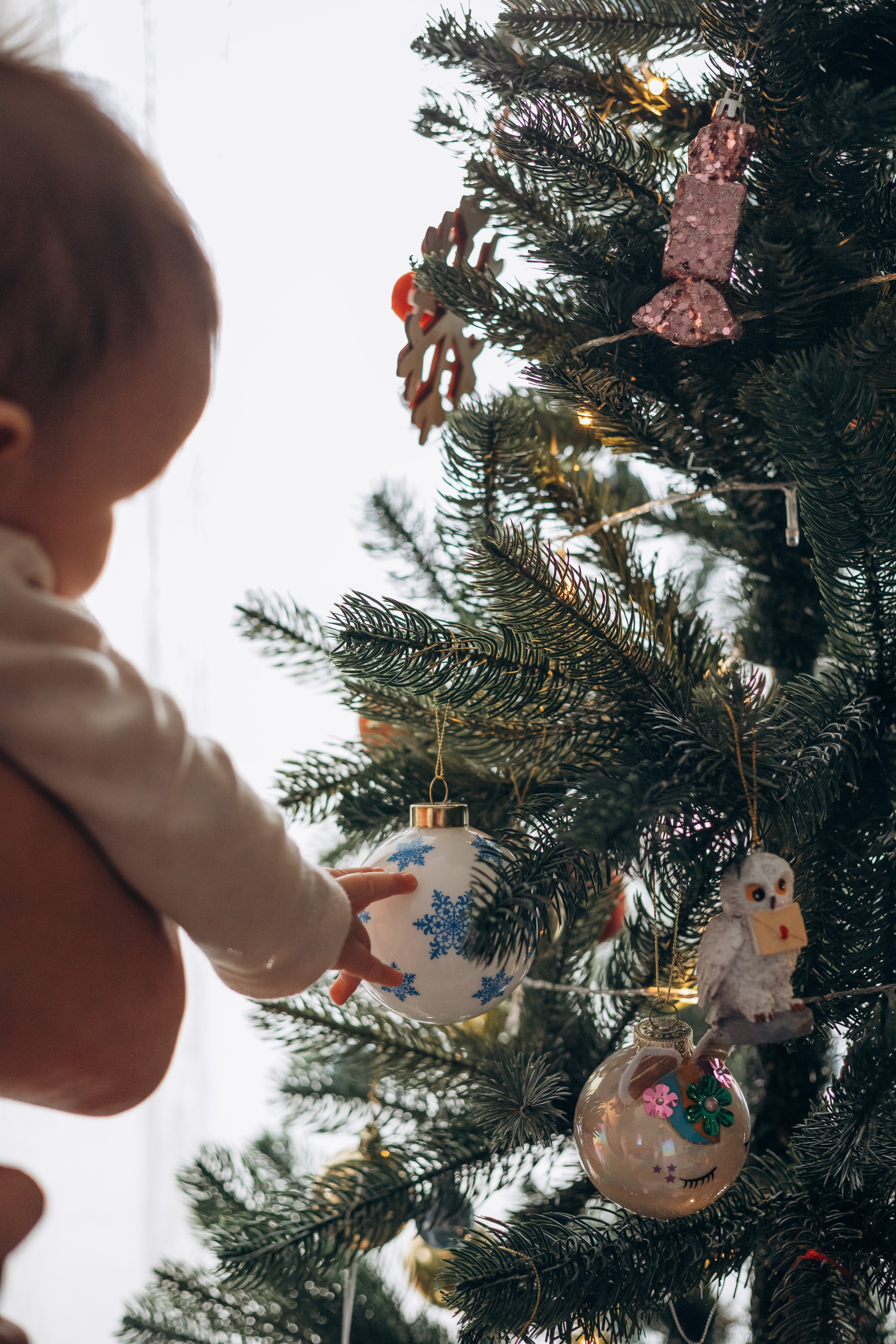 Семья Татьяны и Ильи. Семейный и детский фотограф в г. Новосибирске Макеева Анастасия