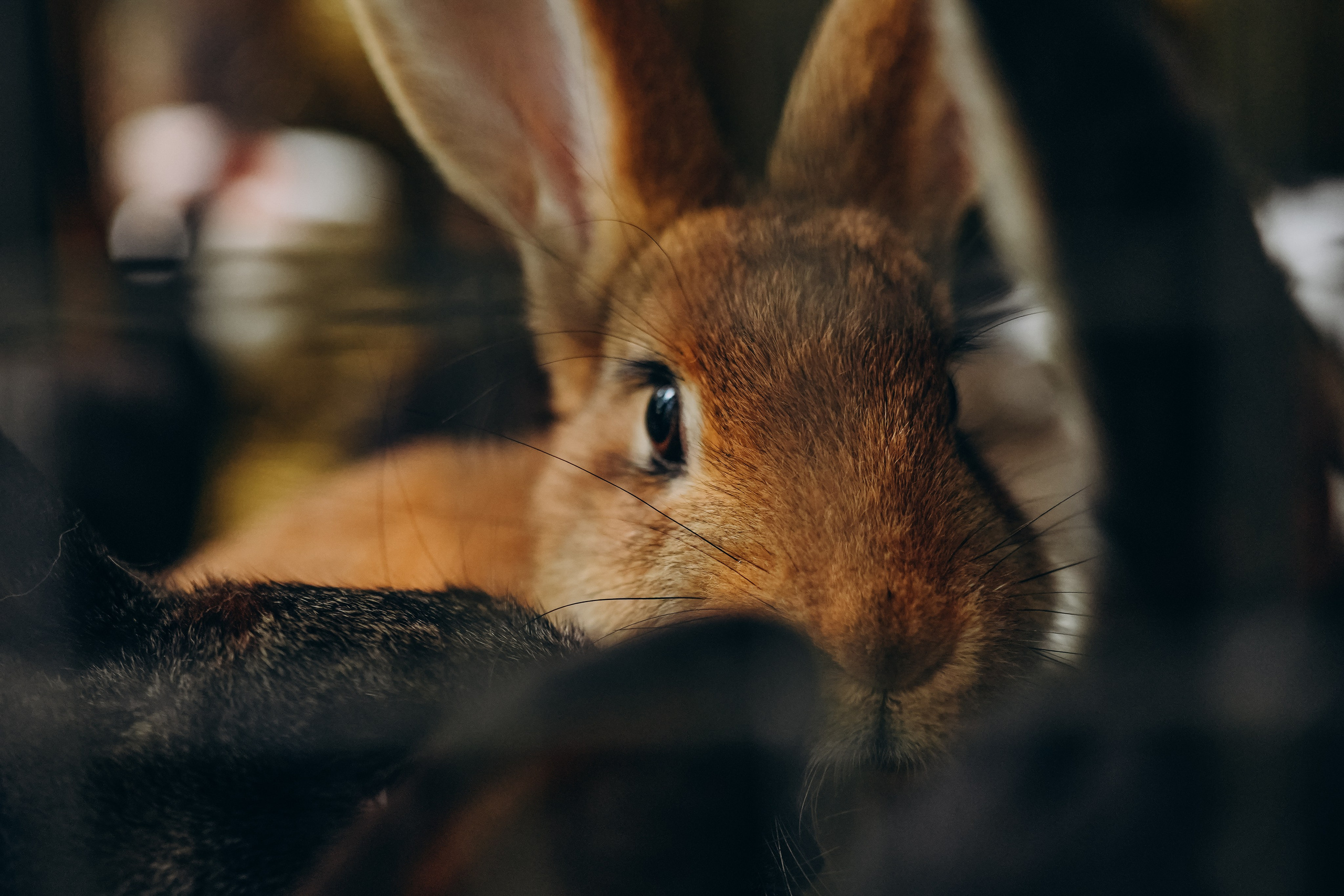 СЕВЕР. Event фотограф Степанова Александра