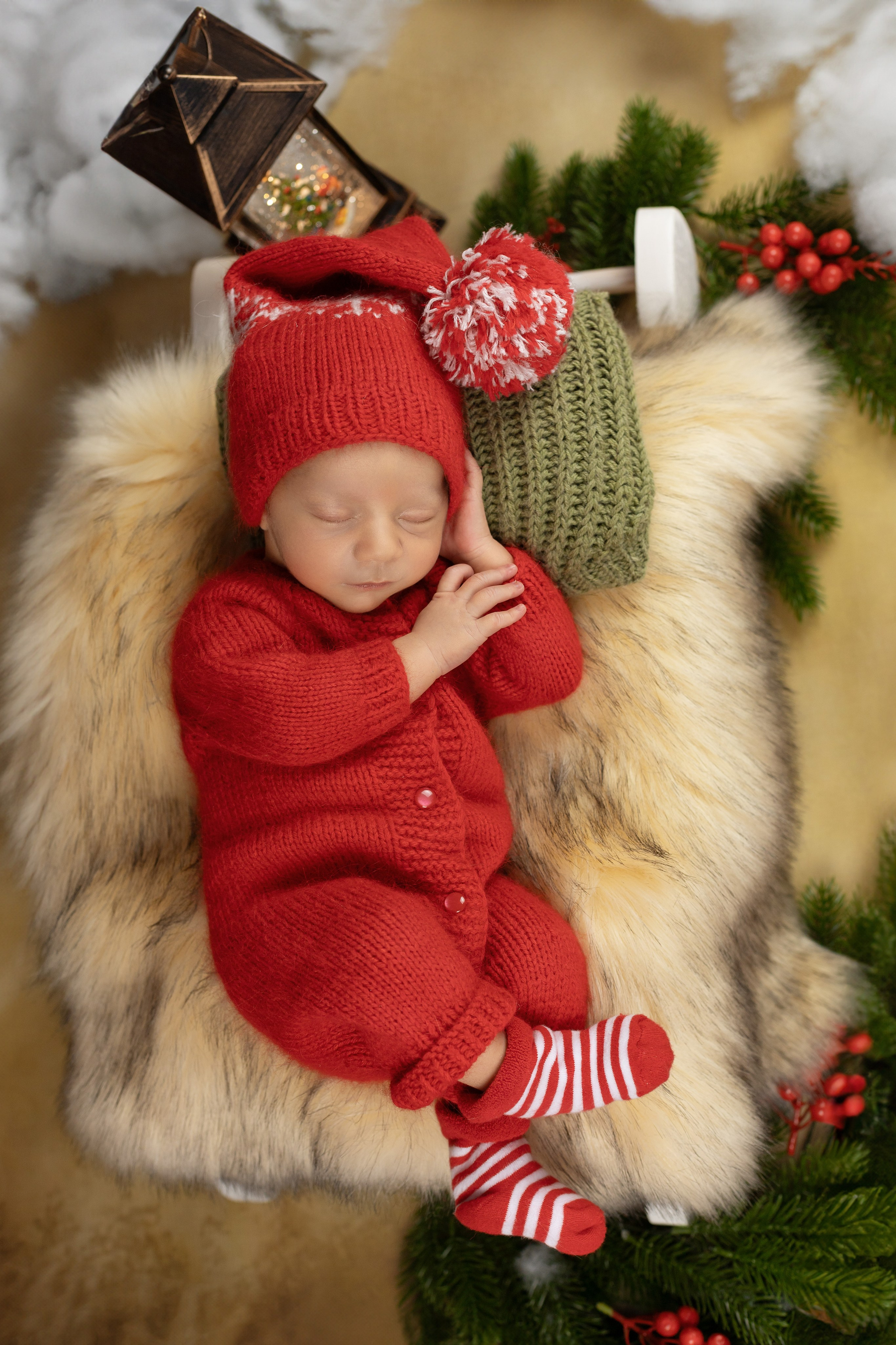 Лев. Ольга SHREIBICUS — Фотография беременности и новорожденных Оренбург