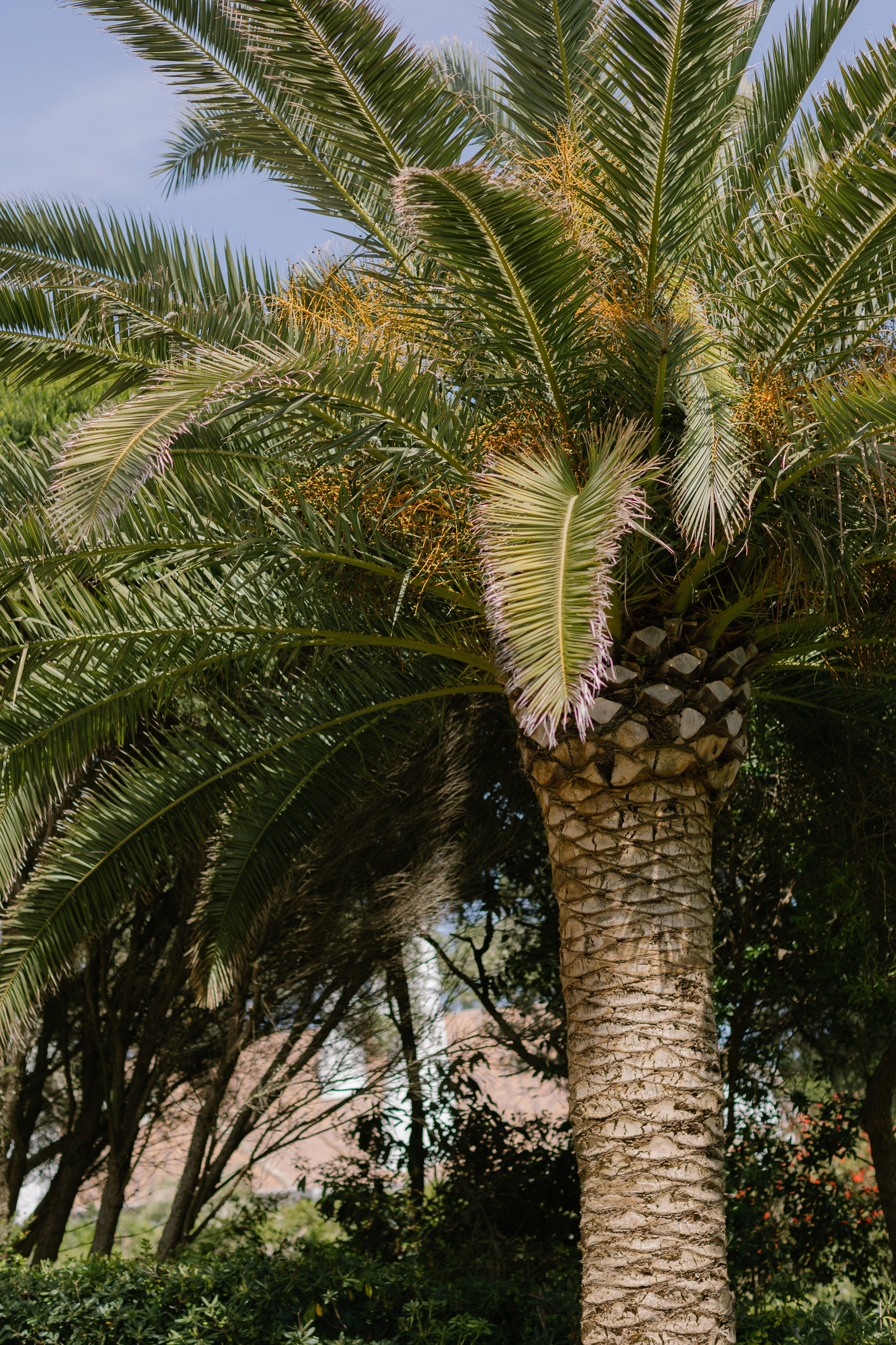 Lisboa. Свадебный и женский фотограф в Лиссабоне Яковлева Ольга