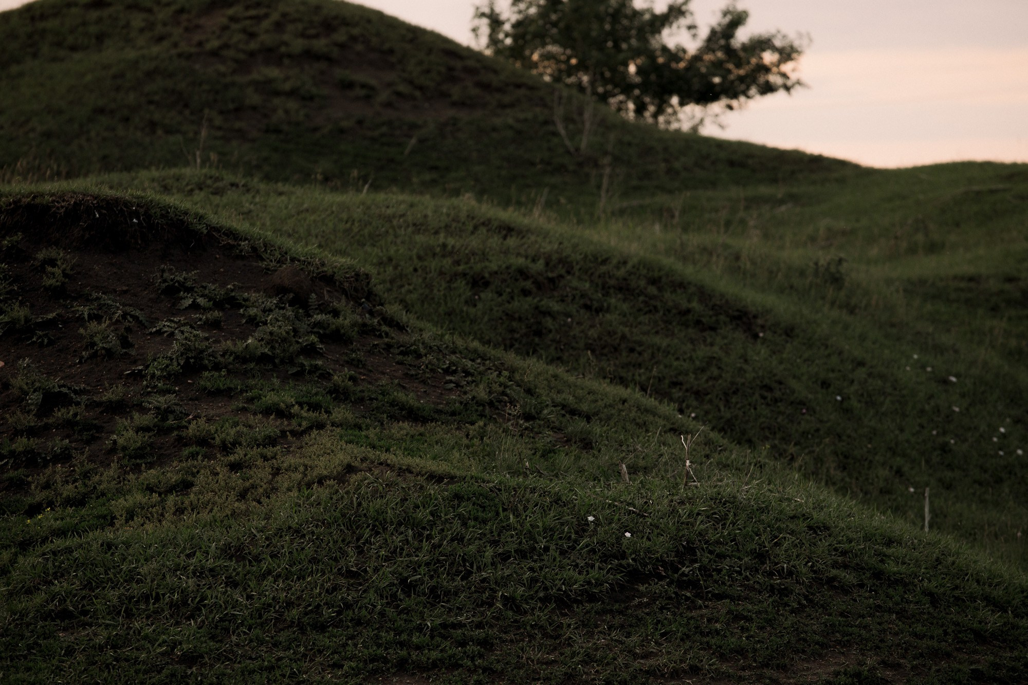 Светлана и Алексей. Свадебный и семейный фотограф в Челябинске