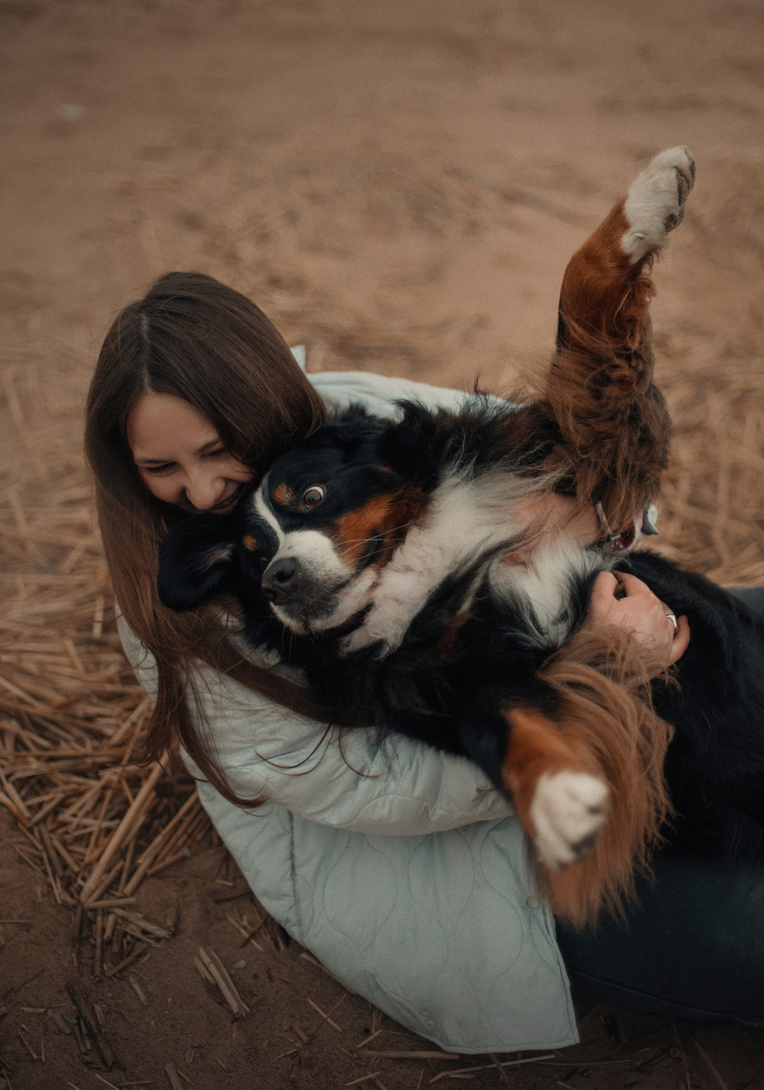 Прогулка: берн Пума, Фрэнк и Юля в Питере. Портфолио