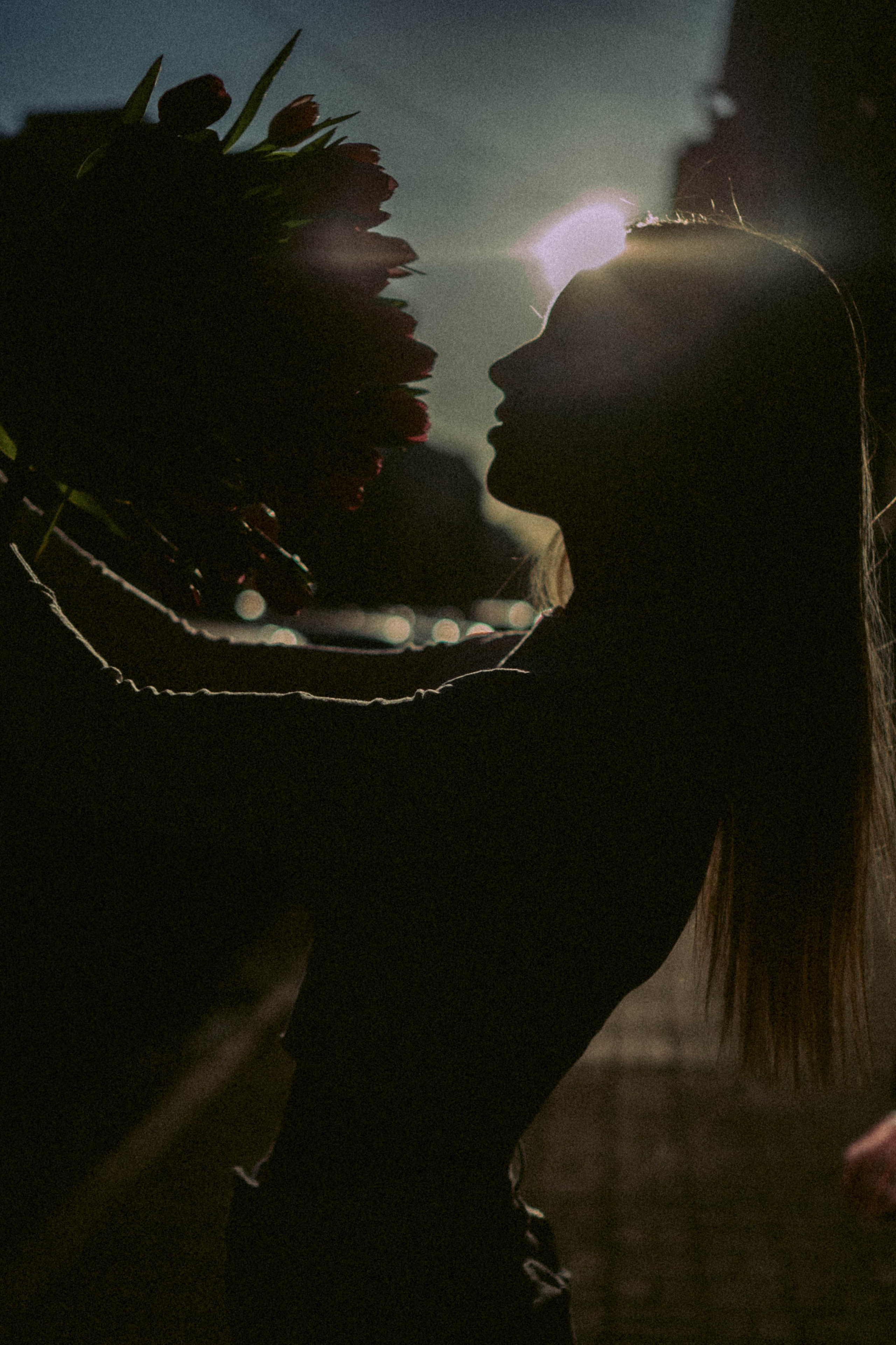 На закате. Профессиональный фотограф, Санкт-Петербург — Виктория Богомолова