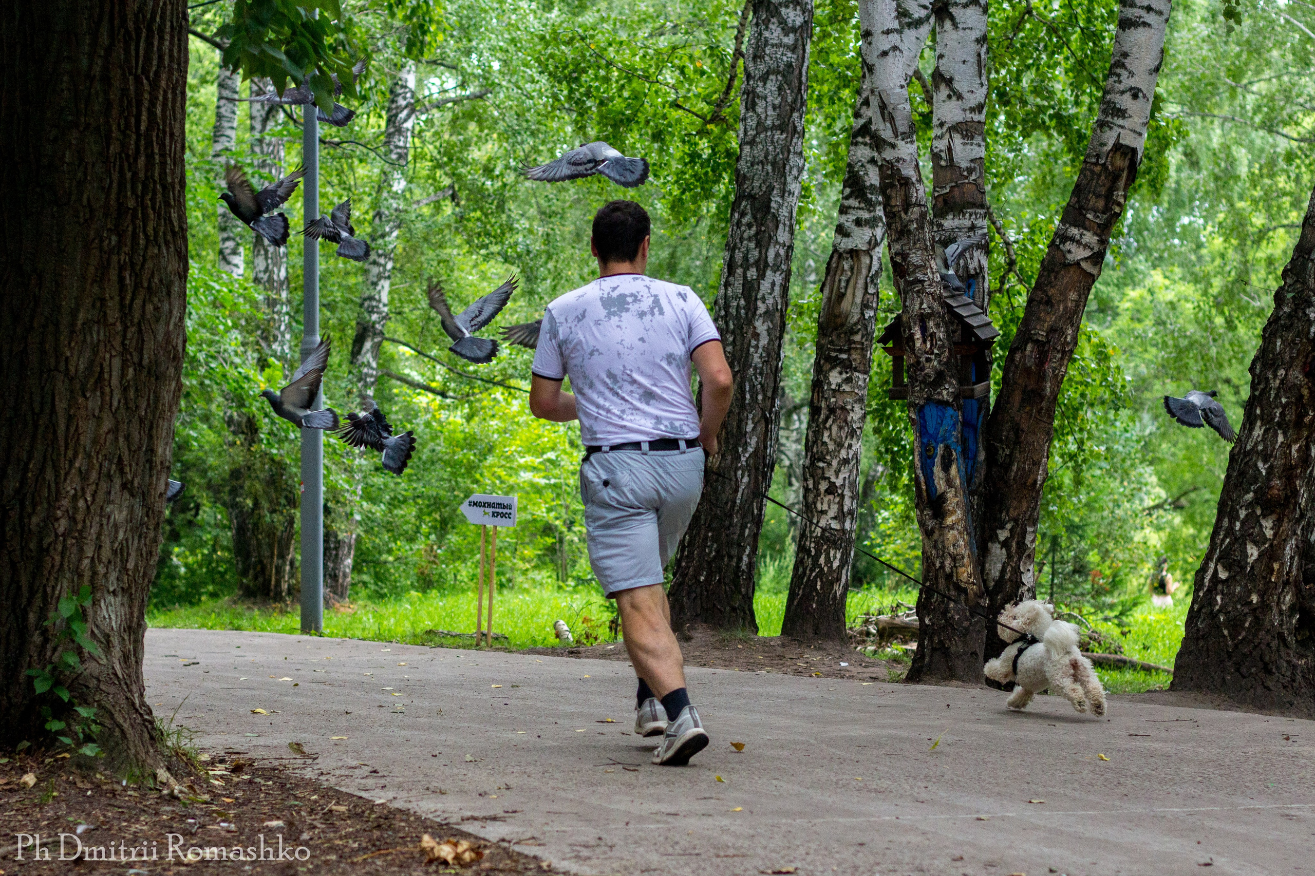 Анималистка. Фотограф Дмитрий Ромашко