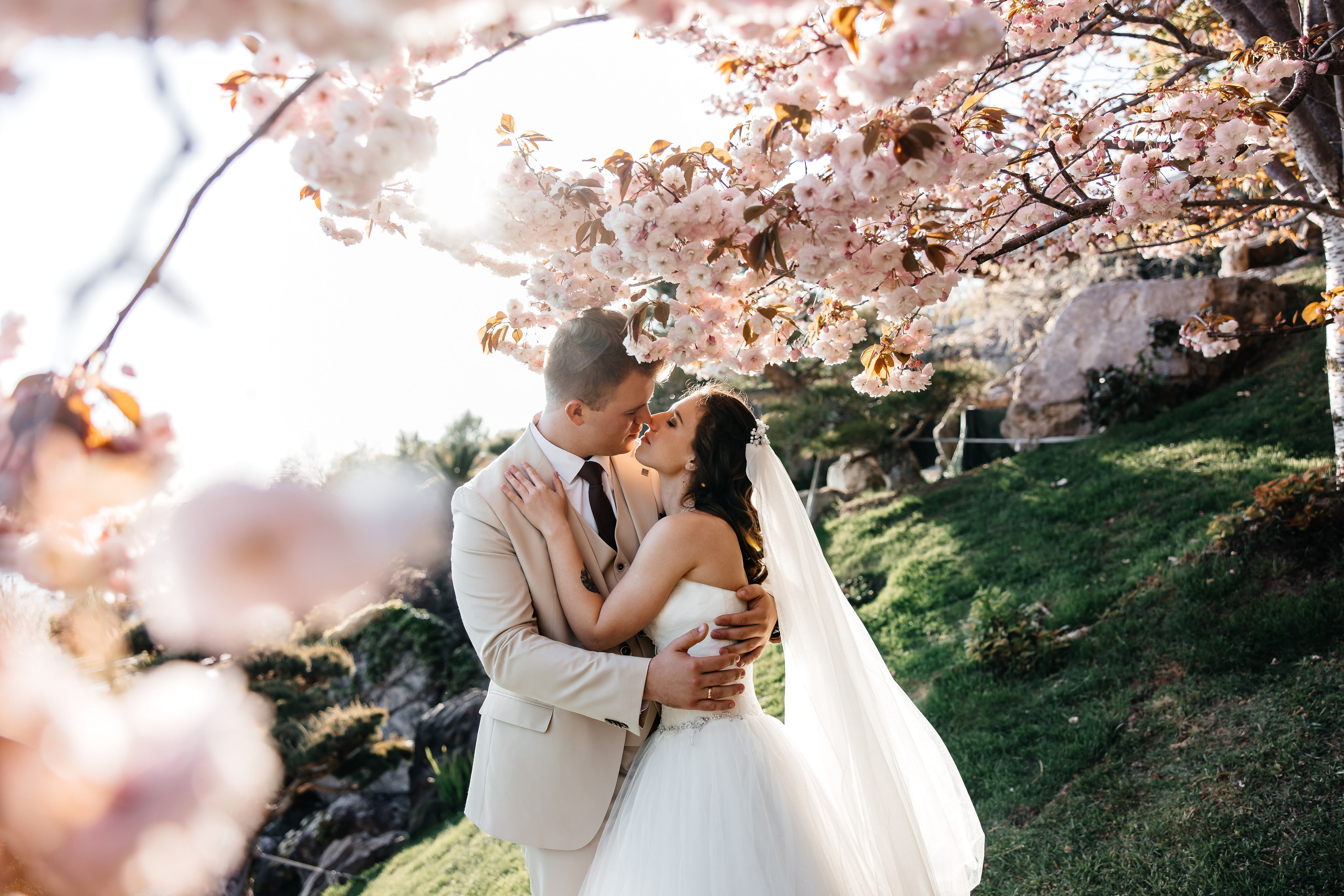 Сакура в Японском саду. Анонс свадьбы для Никиты и Марины. Свадебный фотограф в Крыму и Севастополе Ольга Баскакова