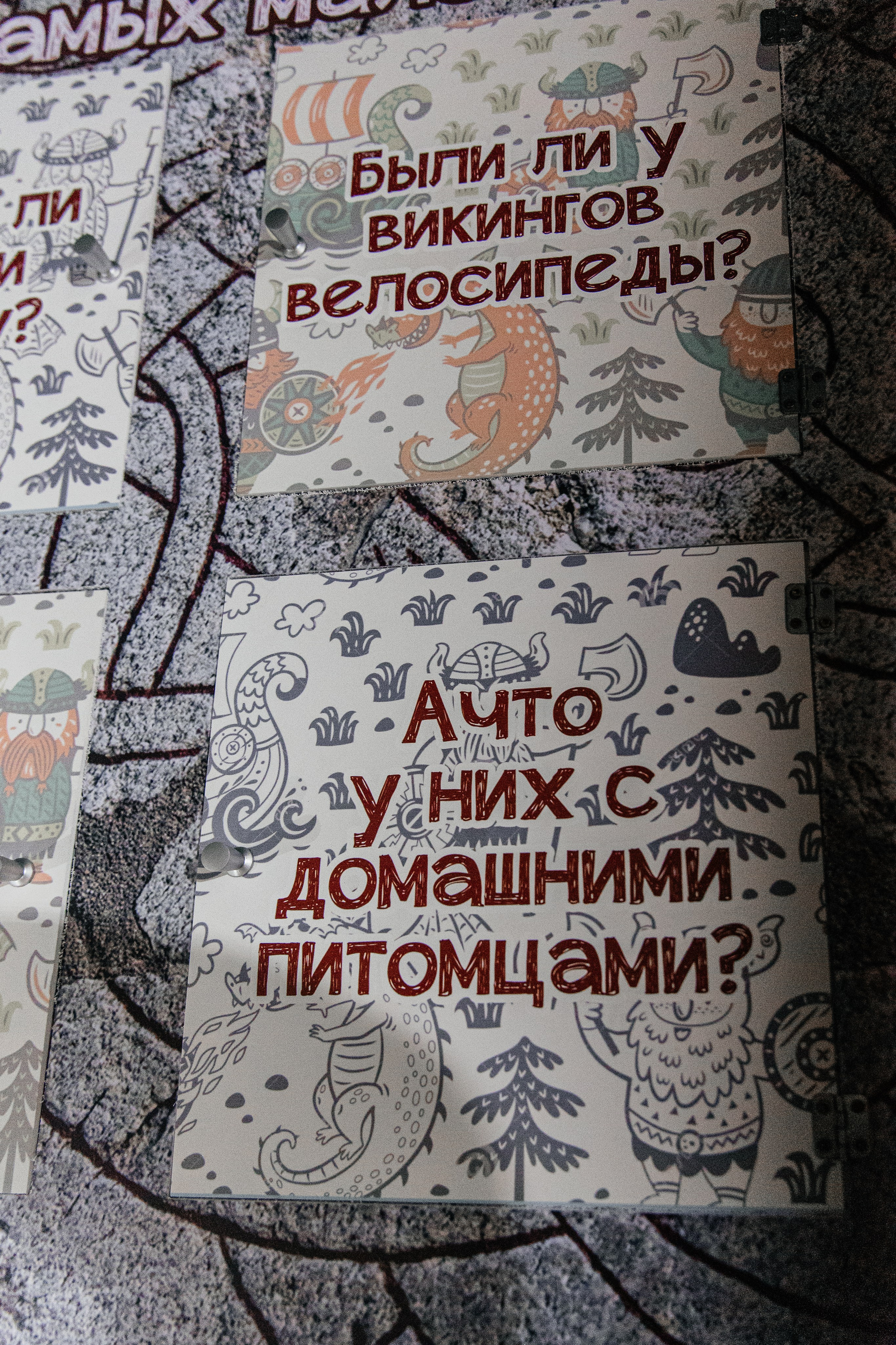 ВЫСТАВКА. ВИКИНГИ