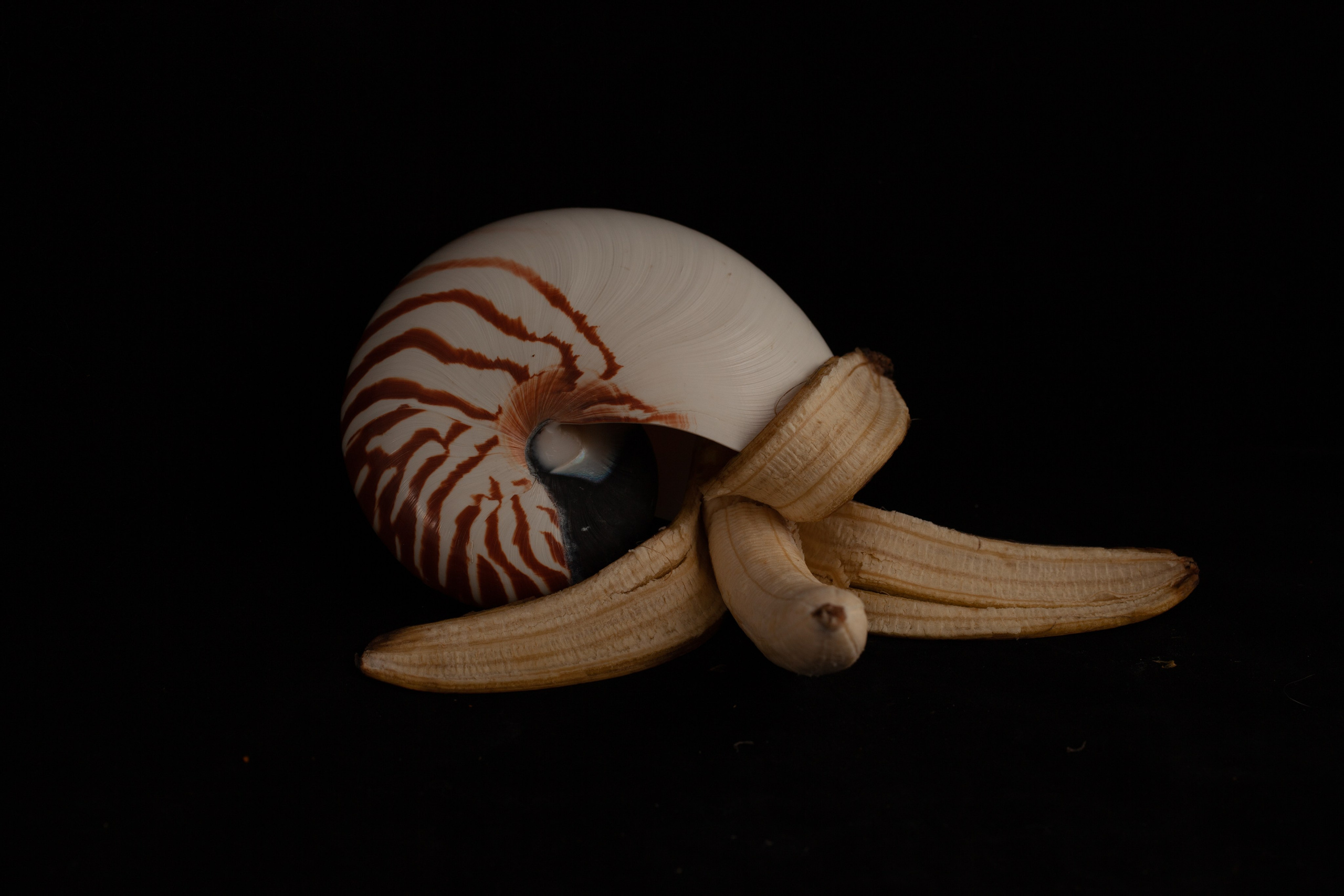 Бананы и тыквы в фотоискусстве. Медиапродюсер, фотограф в Минеральных Водах —Виктор Холодов