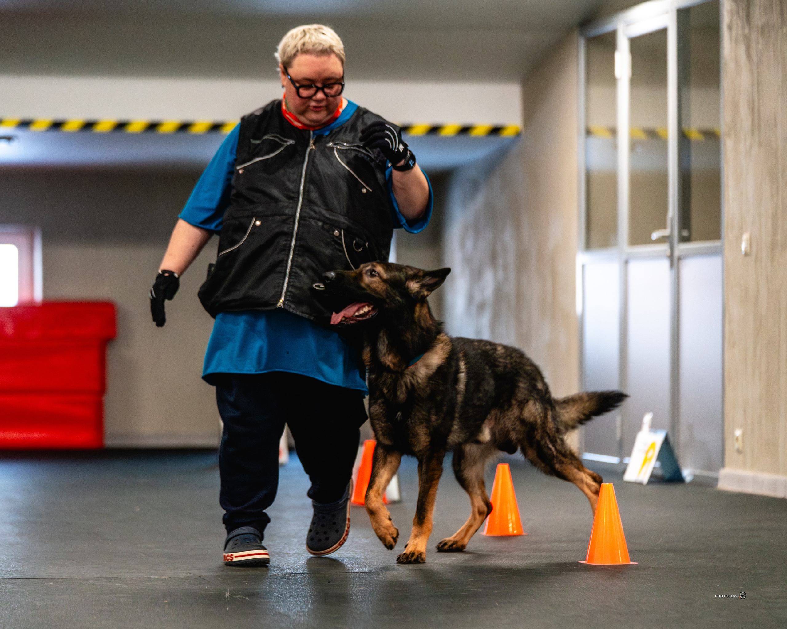 ТЫ И Я (соревнования по ралли-обидиенс). Фотограф-анималист, семейный фотограф в Москве и Подмосковье. Фотосъёмка кинологических дисциплин