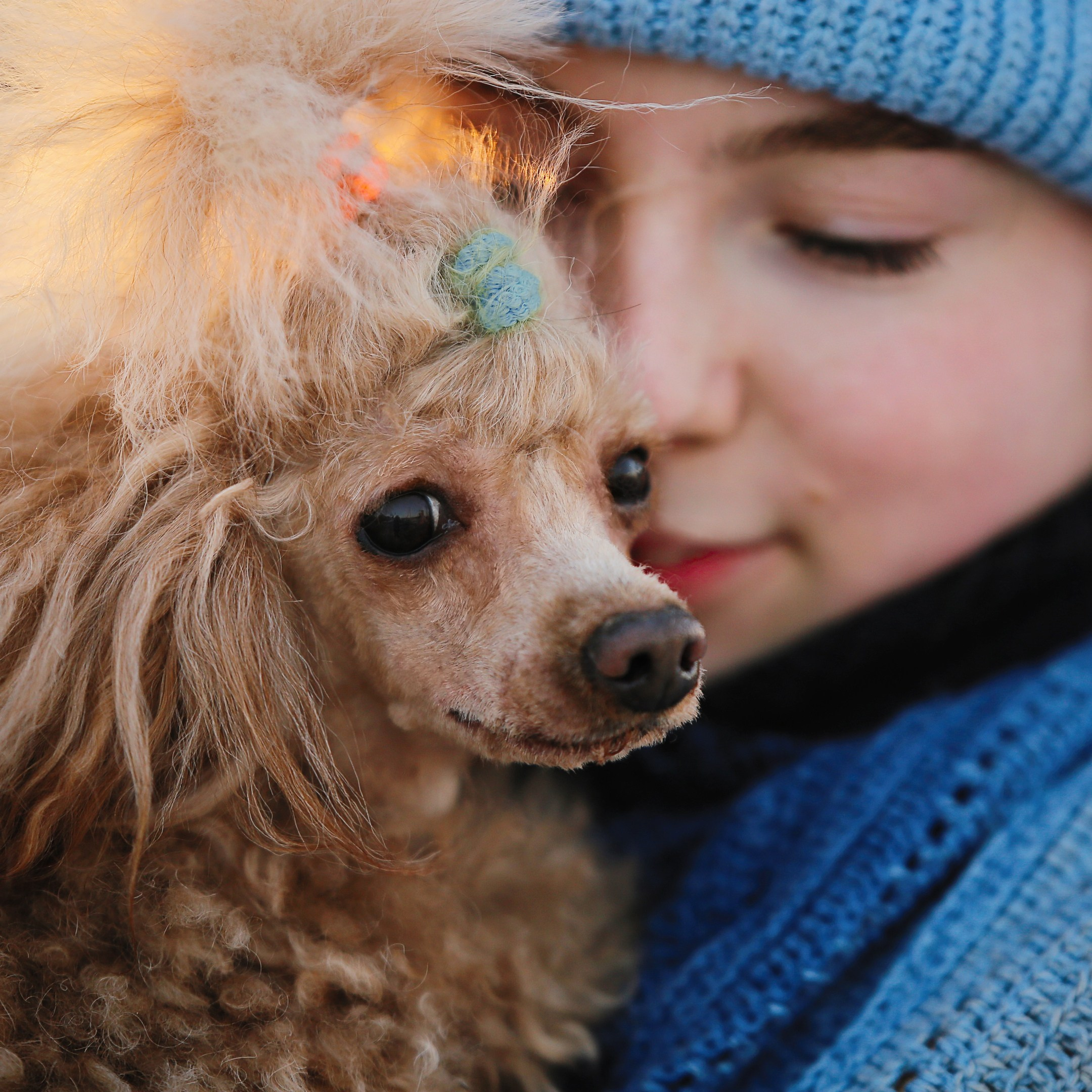 Четвероногие друзья. Репортажный, семейный, школьный фотограф в Иванове Инна Крылова