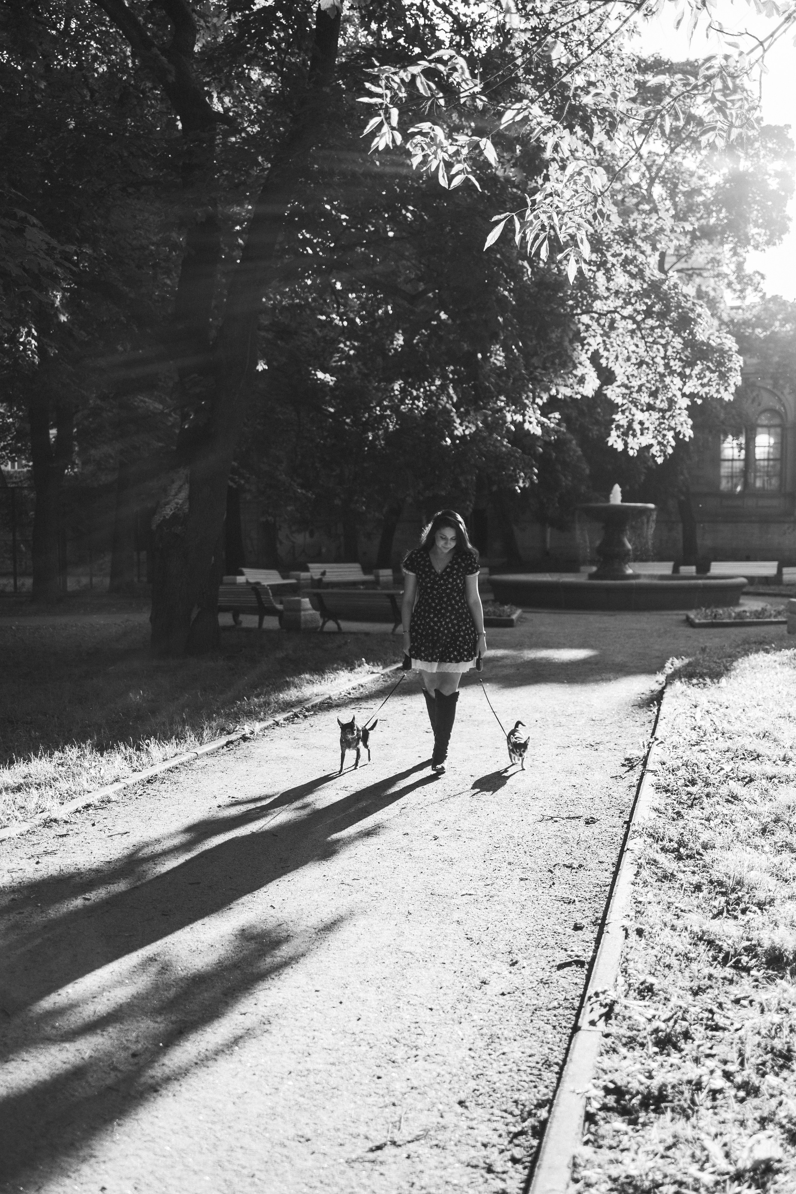 Даша и ее мальчики. Фотограф — Анималист | Санкт-Петербург