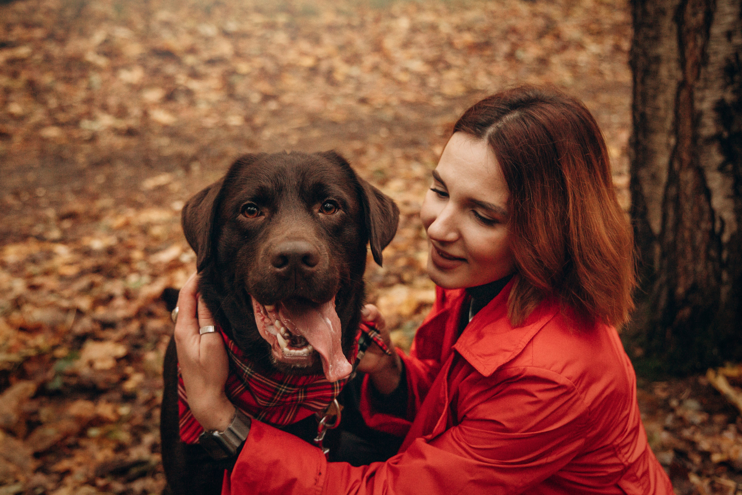 Арина и Сэмми. Фотограф — Анималист | Санкт-Петербург