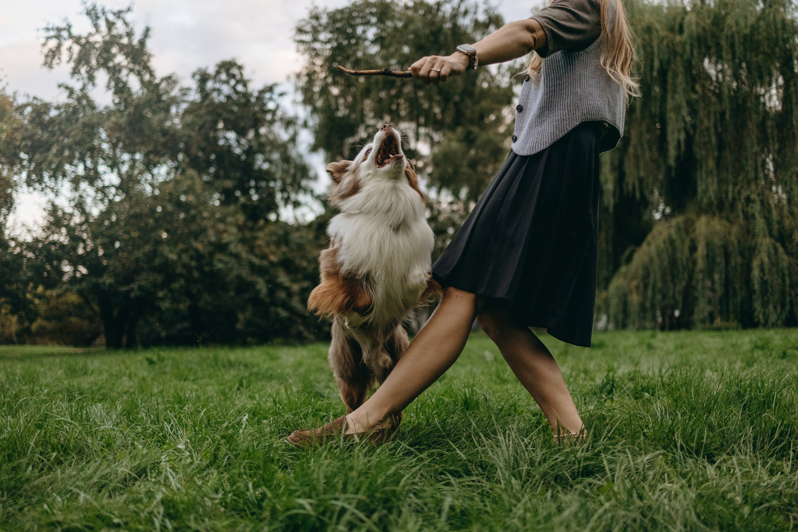 Маша и Эклер. Фотограф — Анималист | Санкт-Петербург