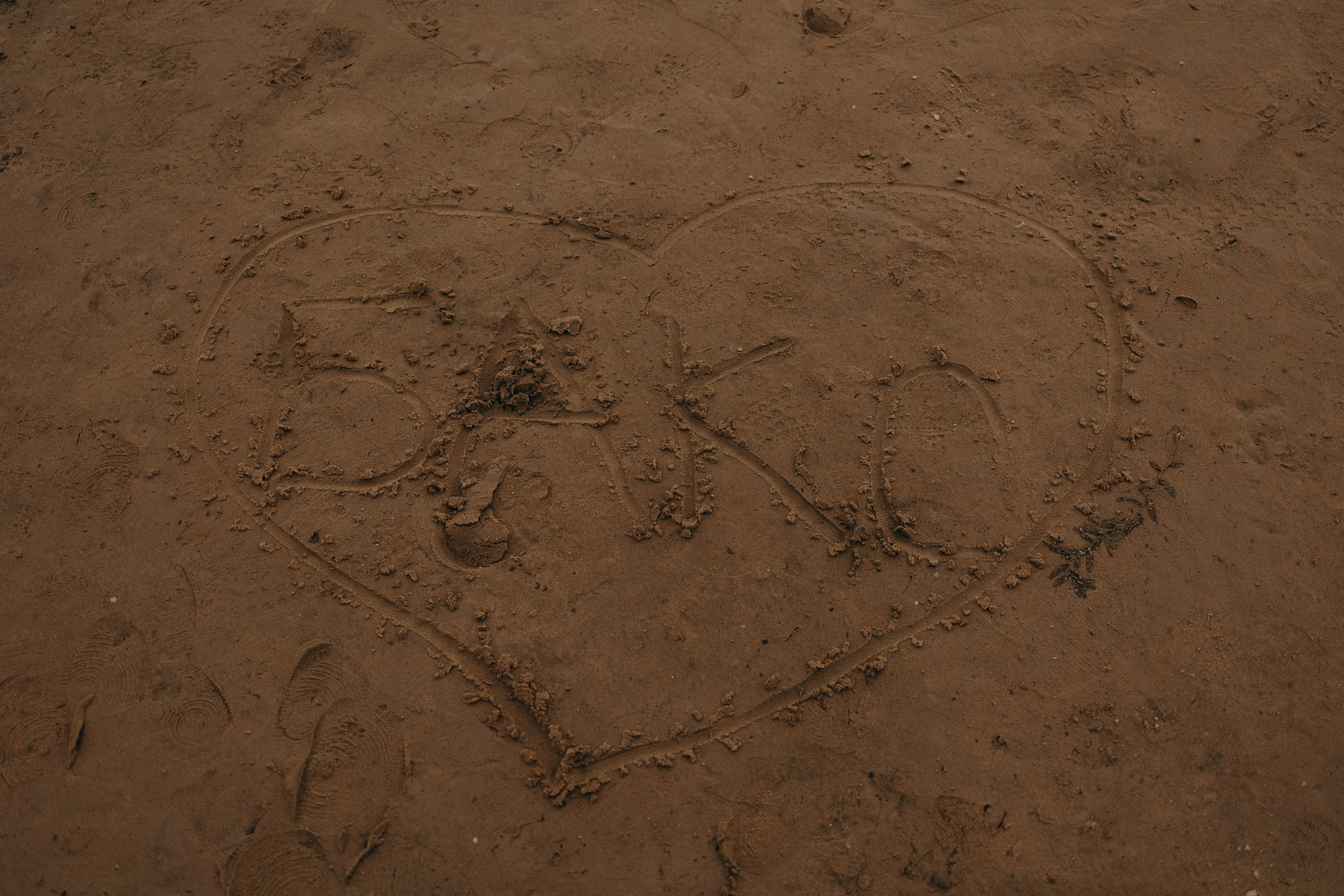 Лиза и Бакс. Фотограф — Анималист | Санкт-Петербург