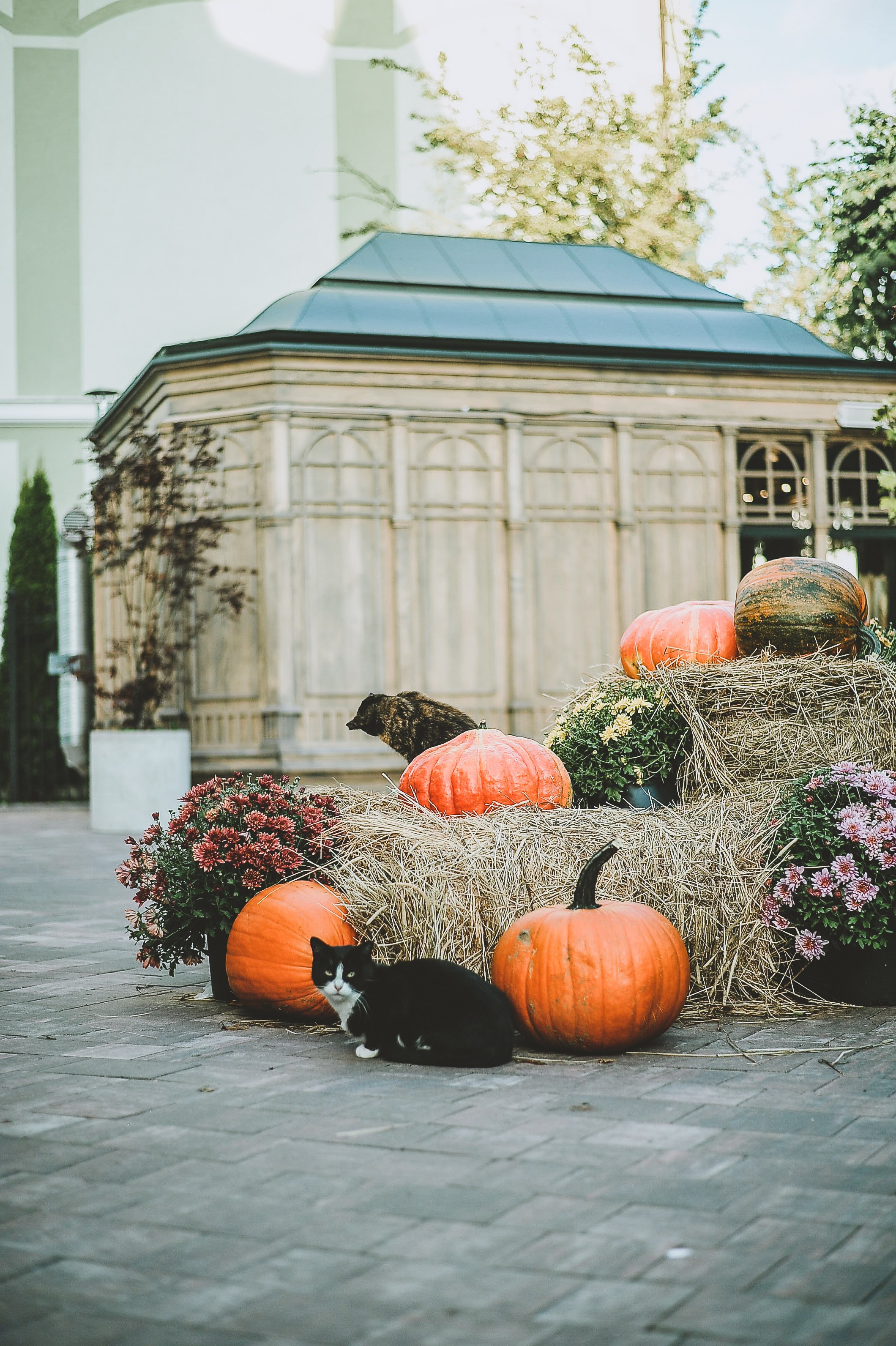 Прогулка. Элька Мурзина