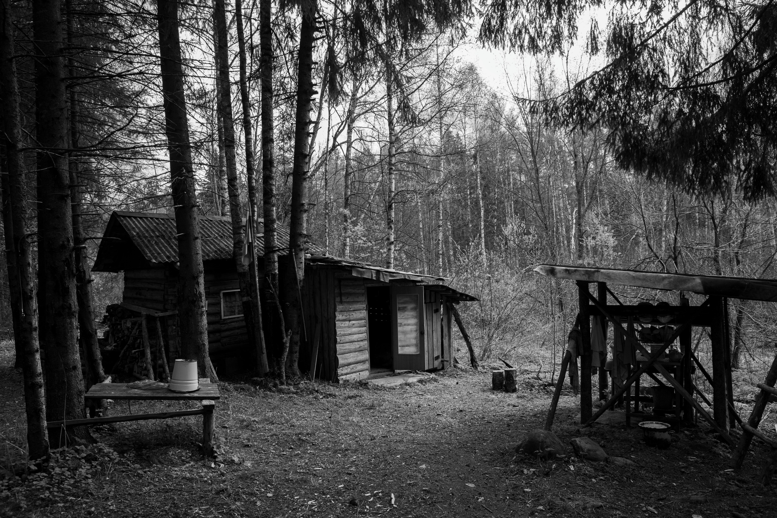Хранитель лесов. Портретная фотосъёмка, репортажная, контент для вашего бизнеса