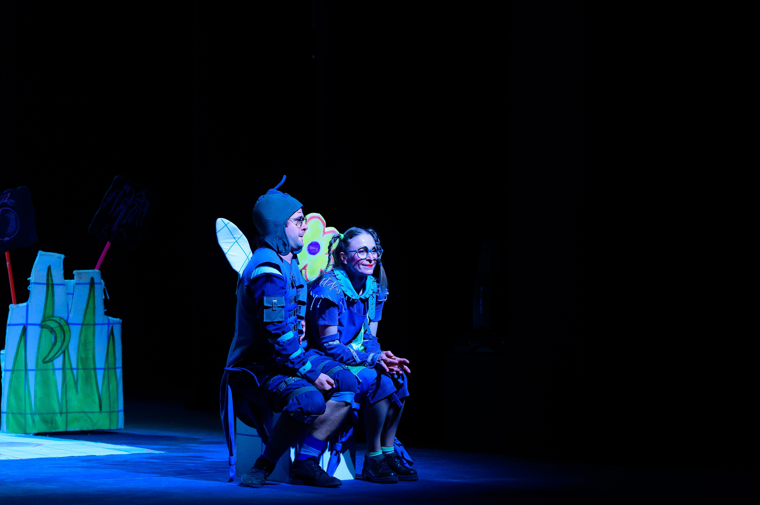 Муха Цокотуха. Фотоуслуги, услуги фотографа, фотографирование важных событий