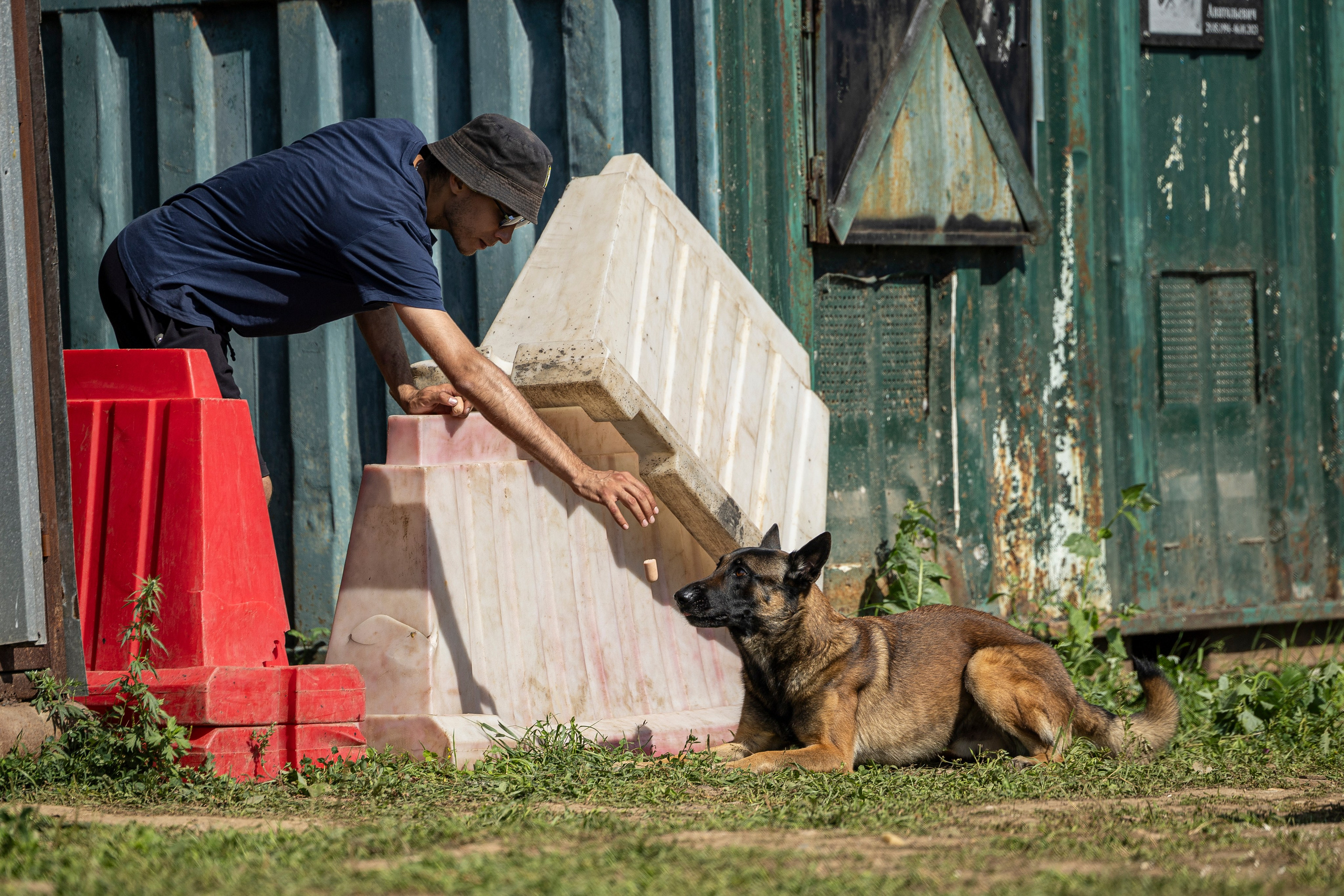 Соревнования по Мондьорингу г. Вологда 10-11.08.2024. Фотограф-анималист Анна Маринич