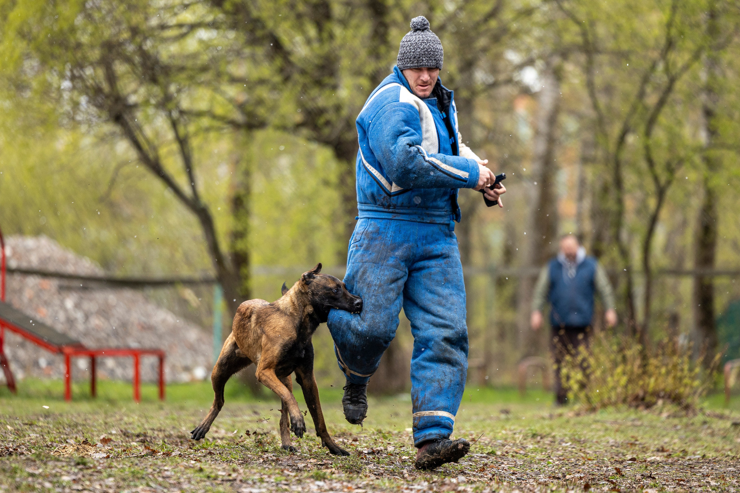 Квалификационные состязания по мондьорингу г. Вологда 11.05.24. Фотограф-анималист Анна Маринич