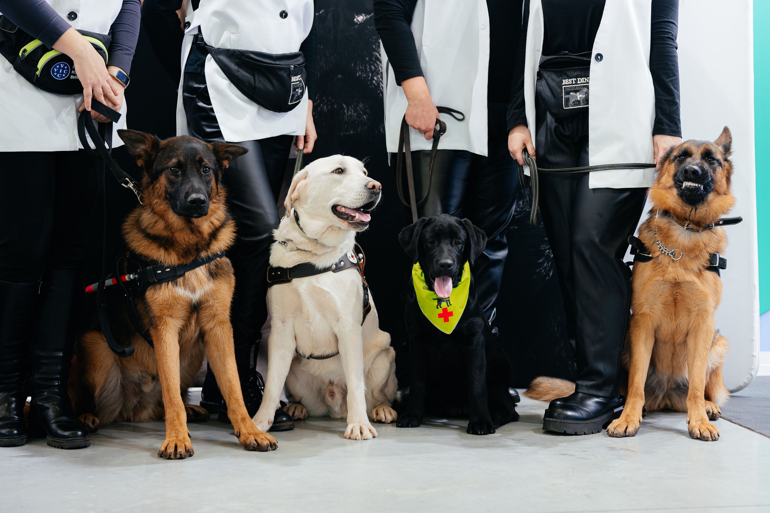 Абилимпикс 2025. Коммерческий фотограф в Санкт-Петербурге Анна Кобзарь