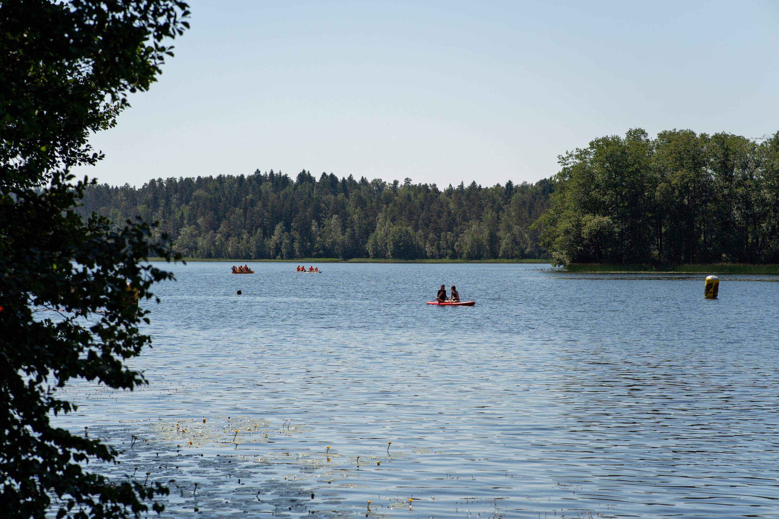 Выпускной 28.06.2024, Ленинградская обл