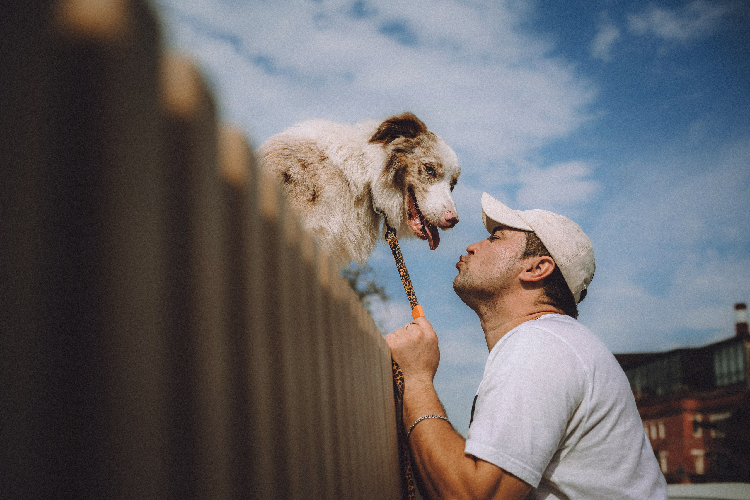 Один и его семья