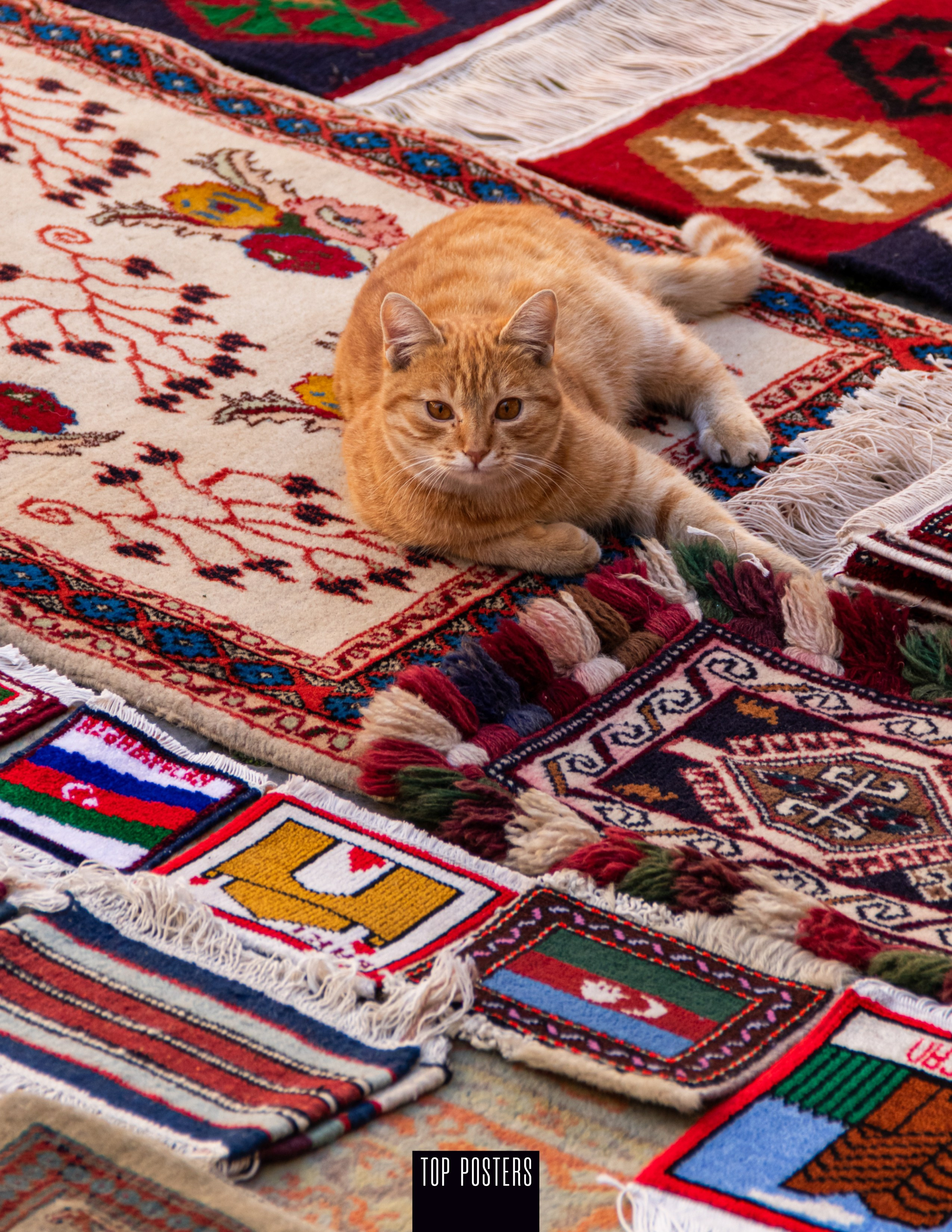 Top posters. Baku. Наталия Фролова. Фотограф. Москва