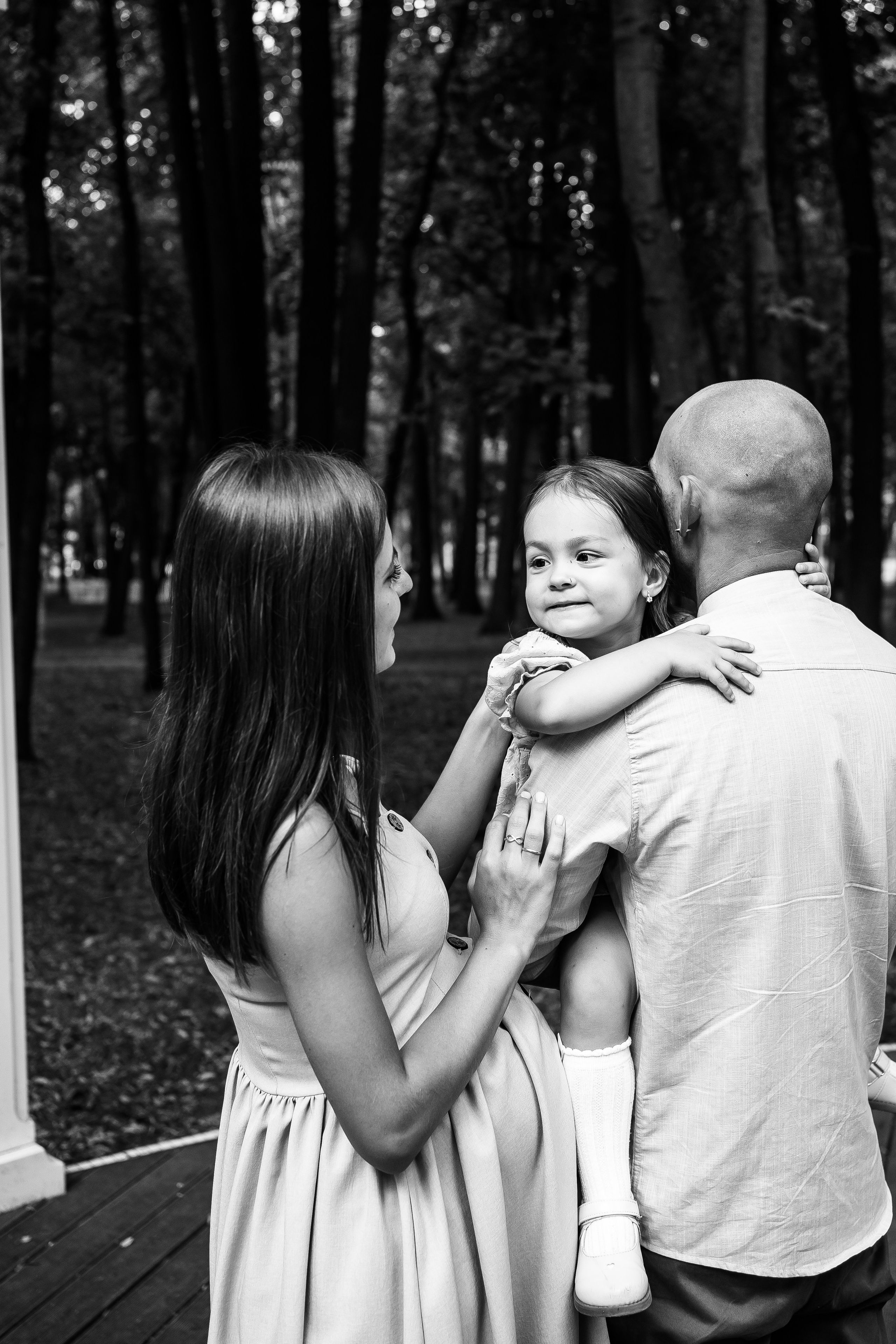 Абиша и Илья