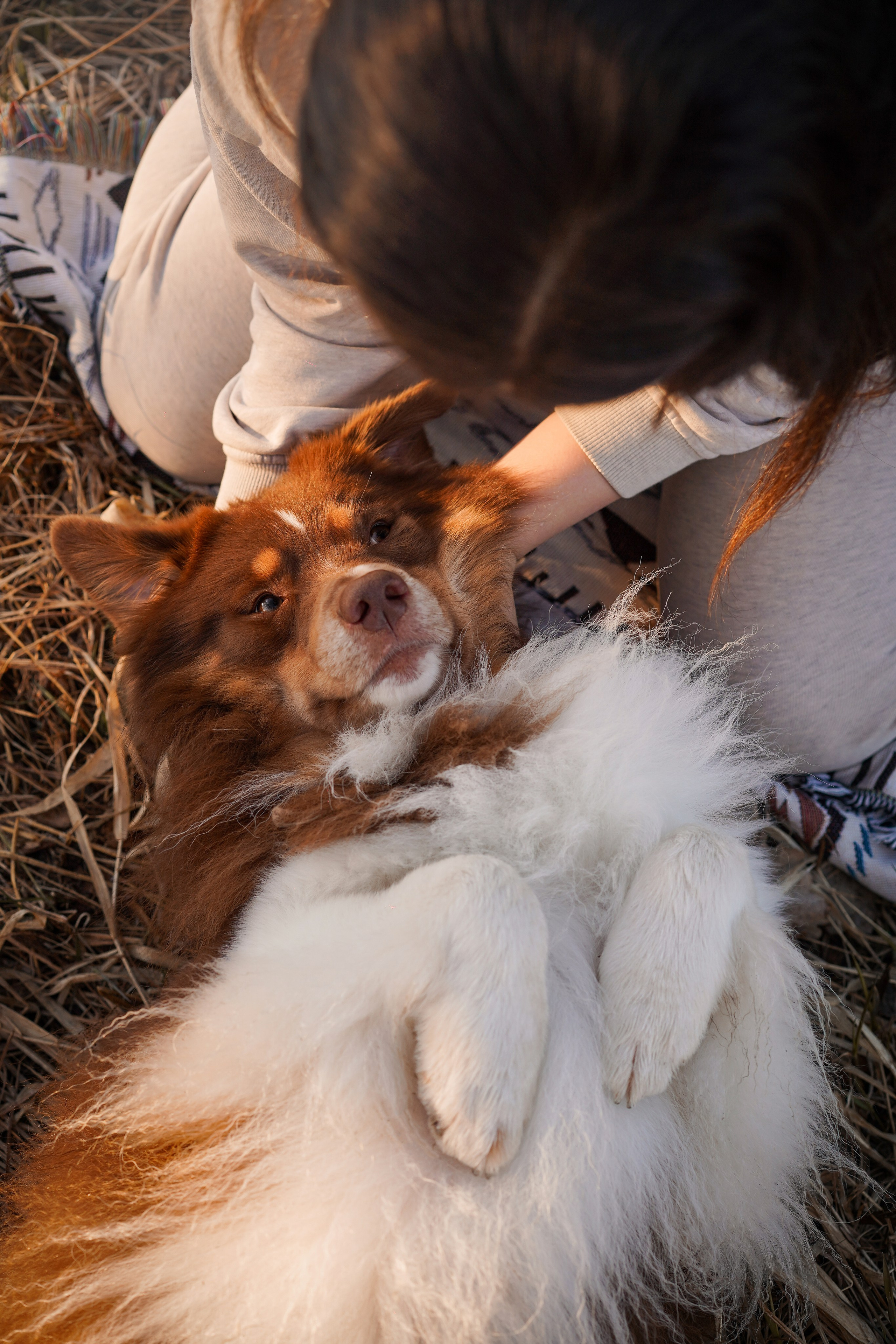 Кристина Рокки и Валькирия. Фотограф-анималист в Санкт-Петербурге Яна Мартынова