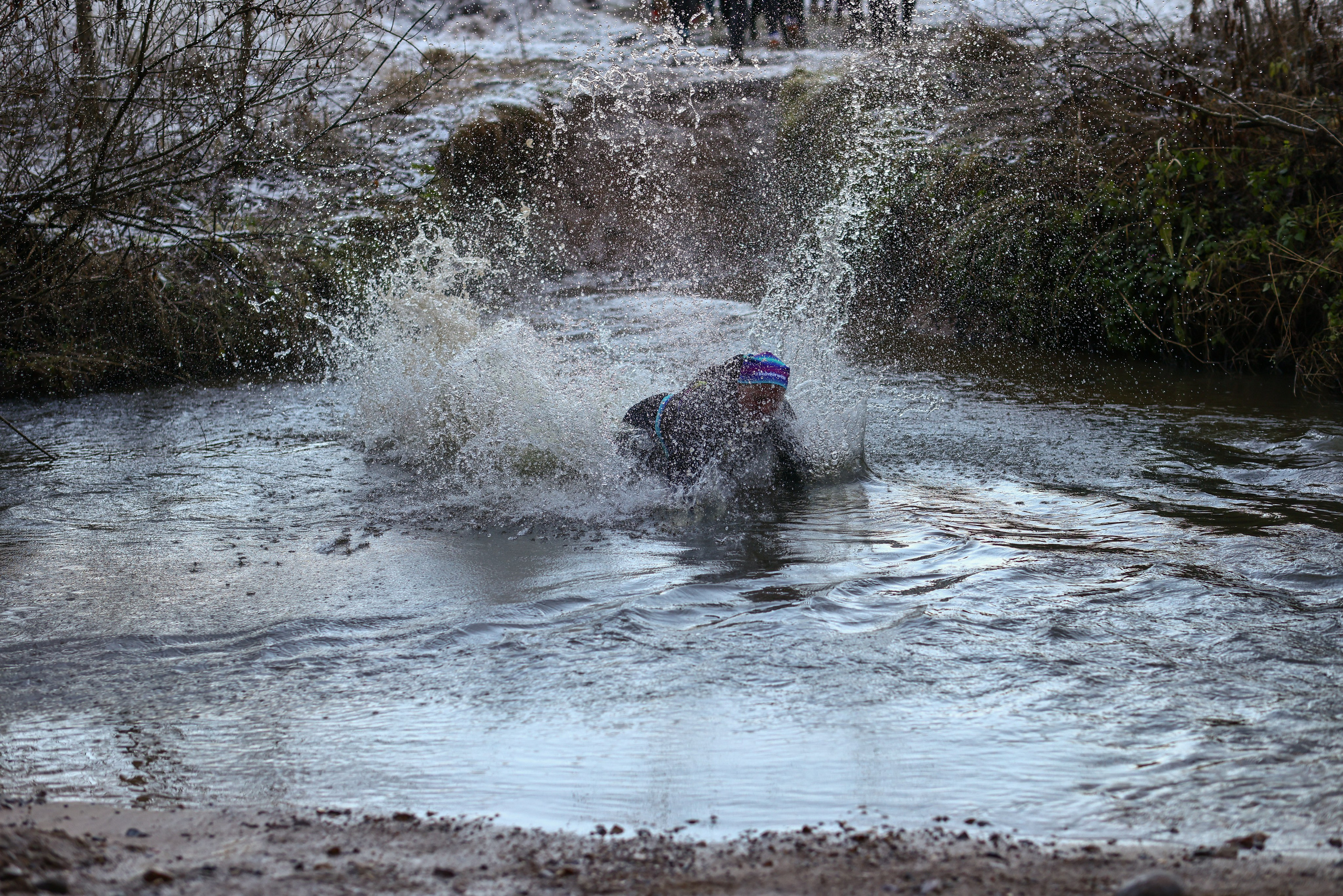 Два лепестка Химкинского марафона у дома, 23.11.25. Фотограф Сергей Ловкий
