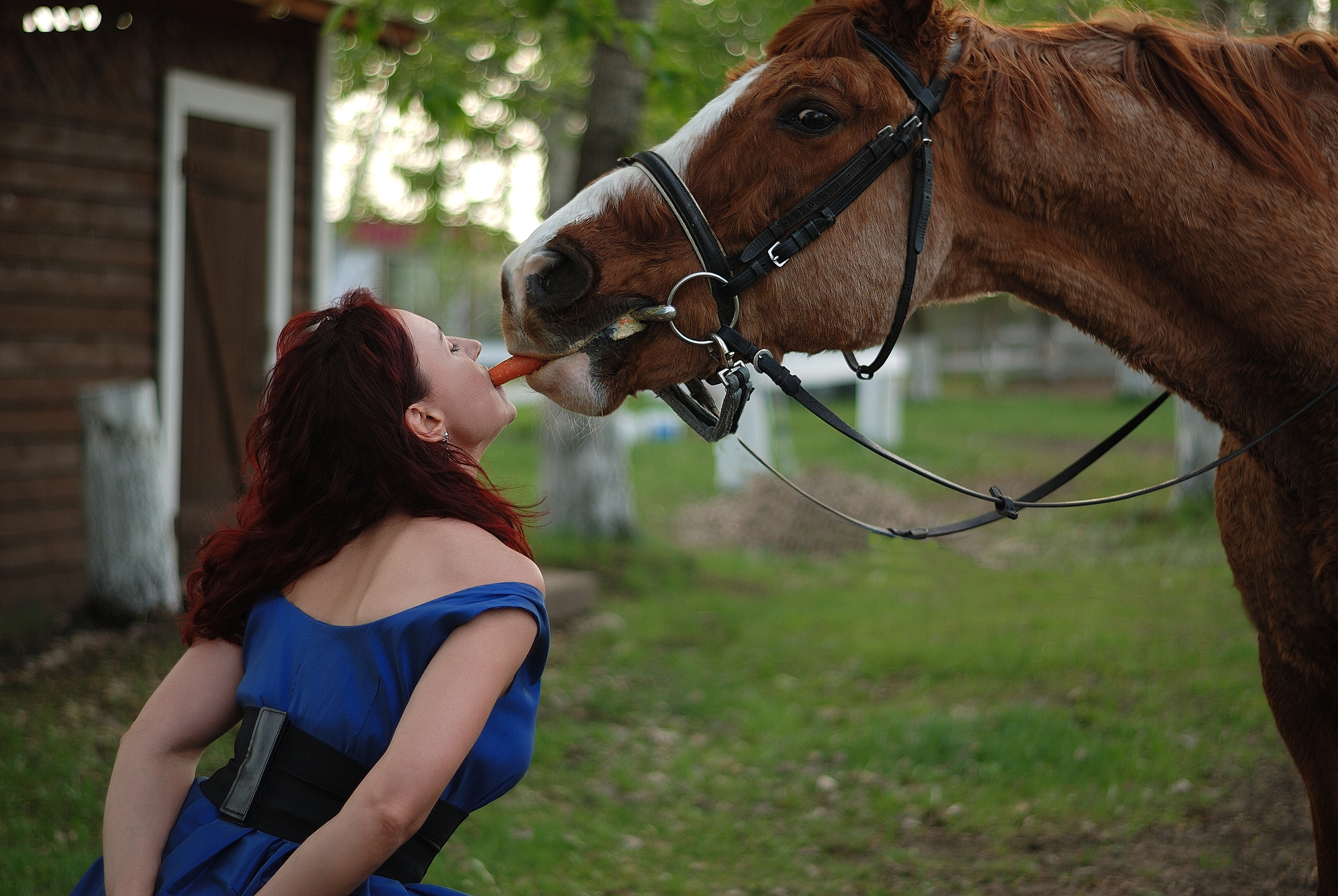 Фотосессии с лошадьми. Человек и лошадь. Фотограф Дмитрий Кищенко. Арт-студия "Мастер и Маргарита". Фотосессии в Сызрани. Фотосессии в Тольятти. Фотосессии в Самаре.