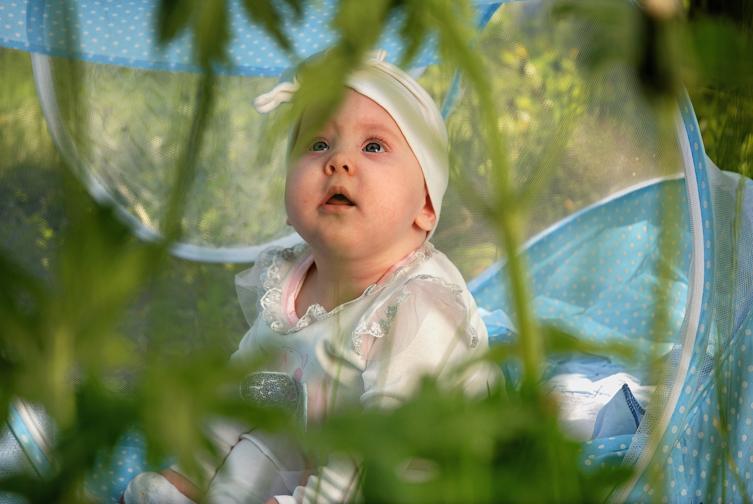 Отзывы о работе фотографа Дмитрия Кищенко. Арт-студия «Мастер и Маргарита» — фотосессии в Сызрани, Тольятти, Самаре