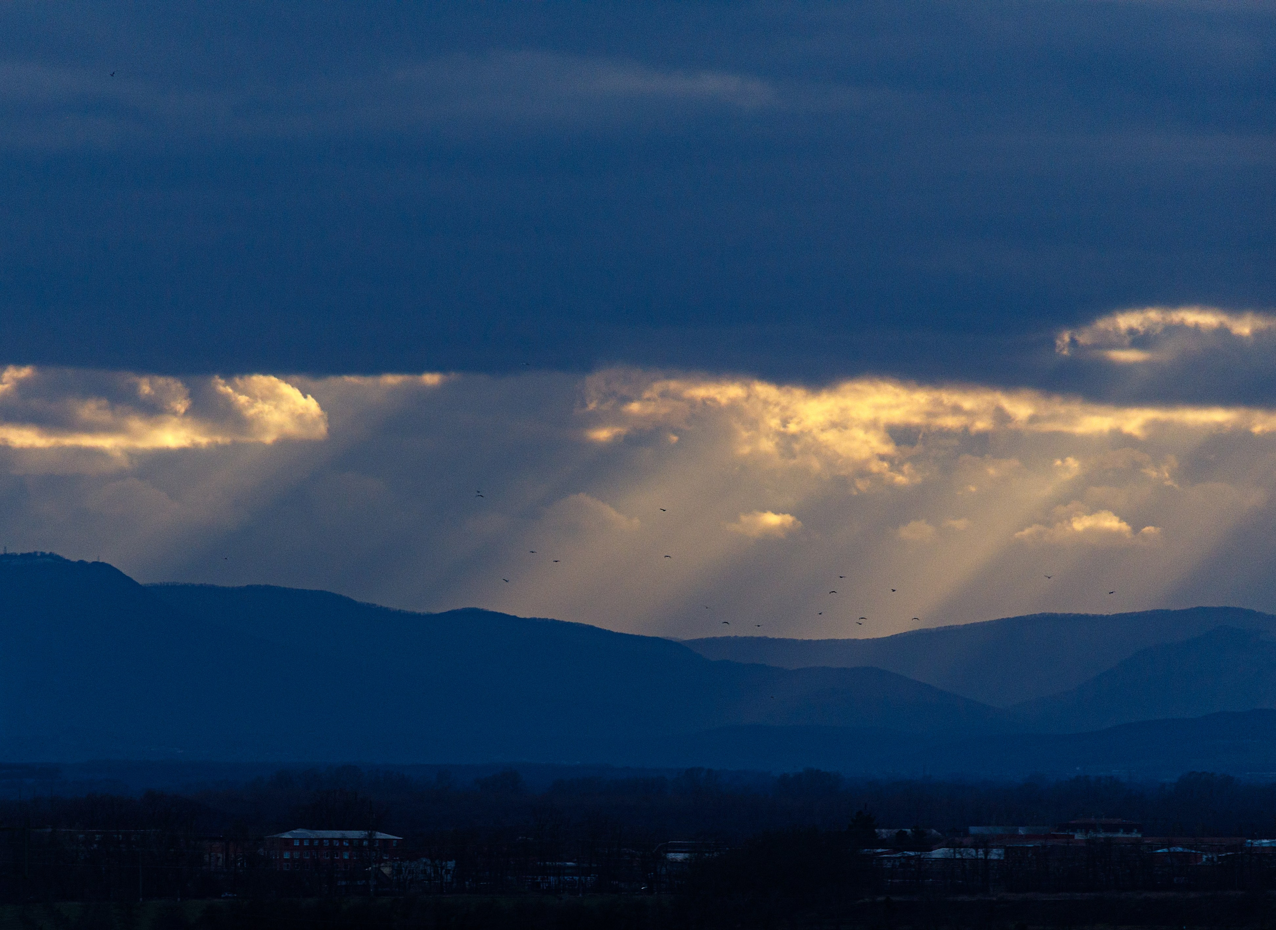 Проект «366»|2024|Фото каждый день. LENA GRACE photographer ||ЛЕНА ГРЭЙС фотограф