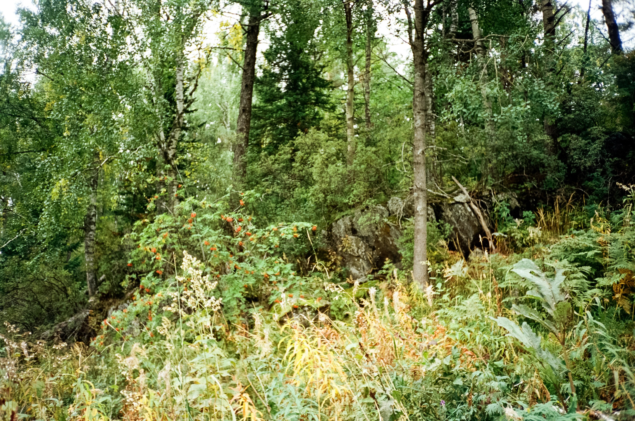 Курорт Манжерок, поход к Золотой Бабе и кофе в Берендеевке. Фотограф-документалист Мария Осокина