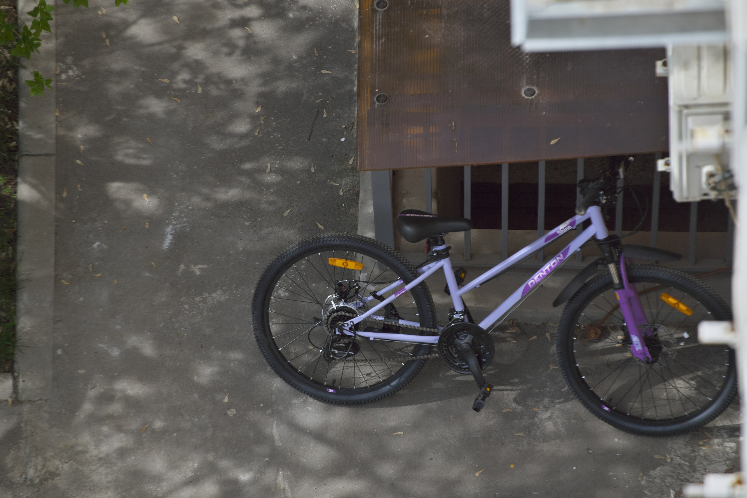 Во дворе 🚲. Миша Печёнкин | фотография