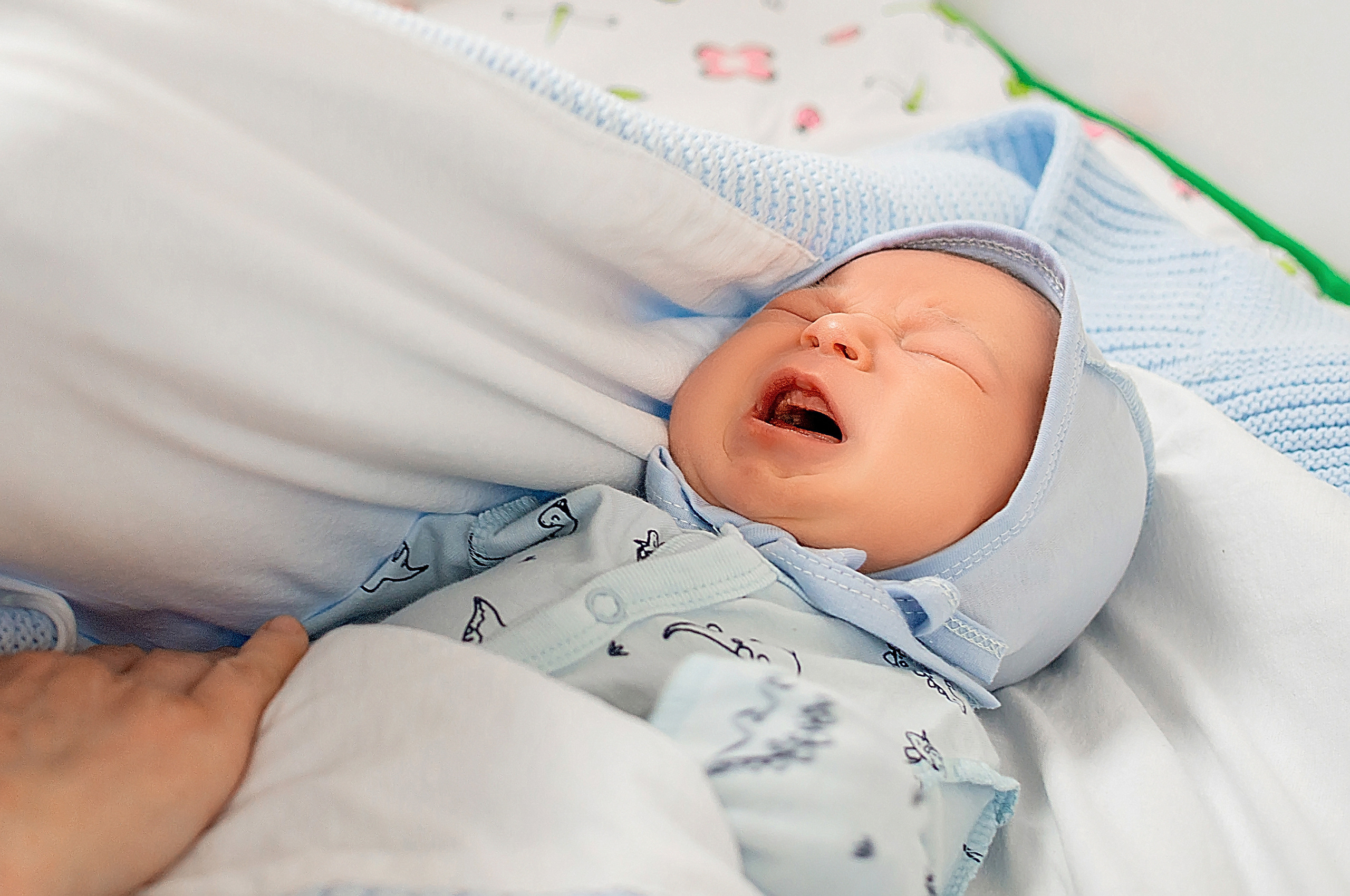 Выписка из роддома Краснодар. Фотограф новорожденных Краснодар Малышенко Надежда